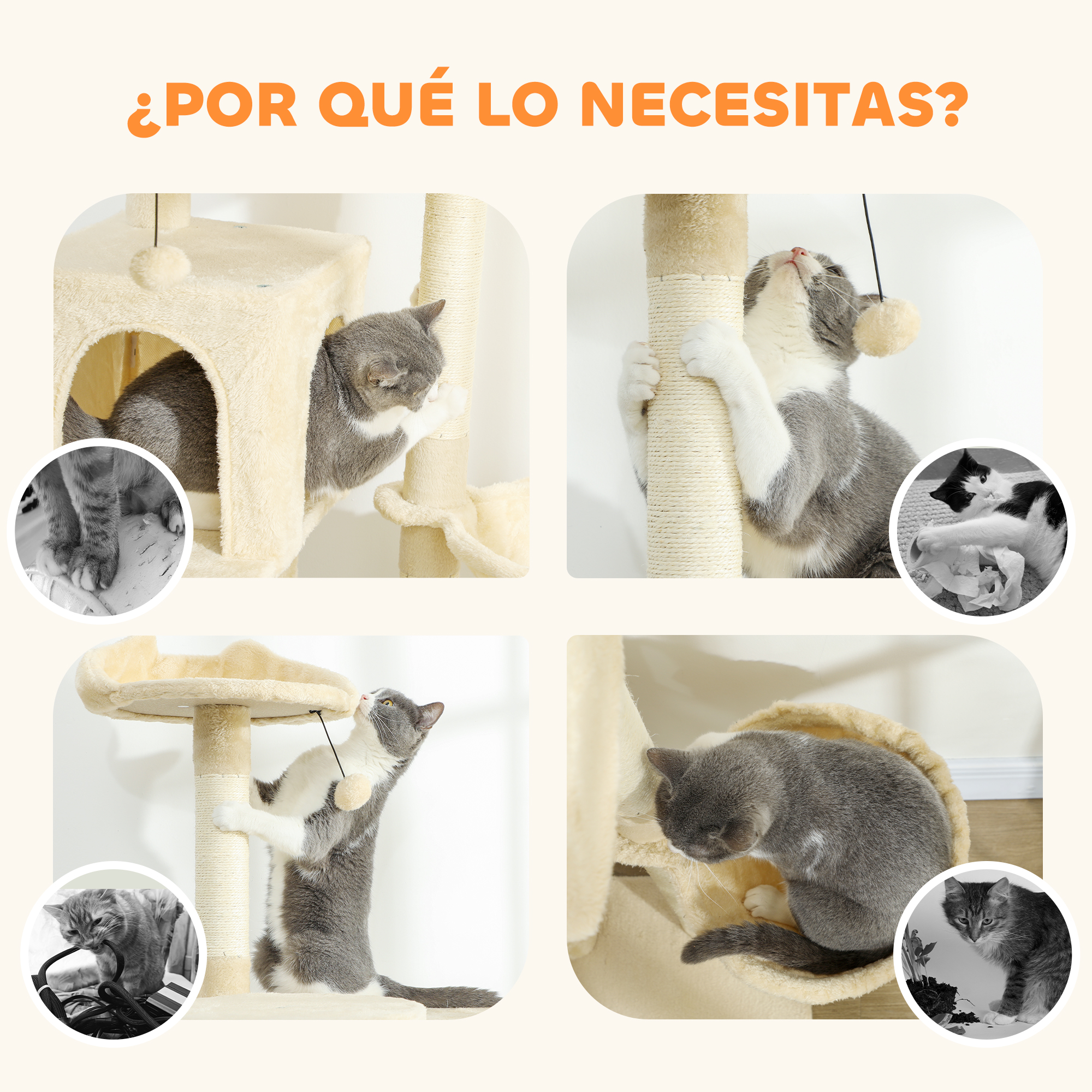 Gatos juegan en rascadores, uno juega con pelota, otro rasca.