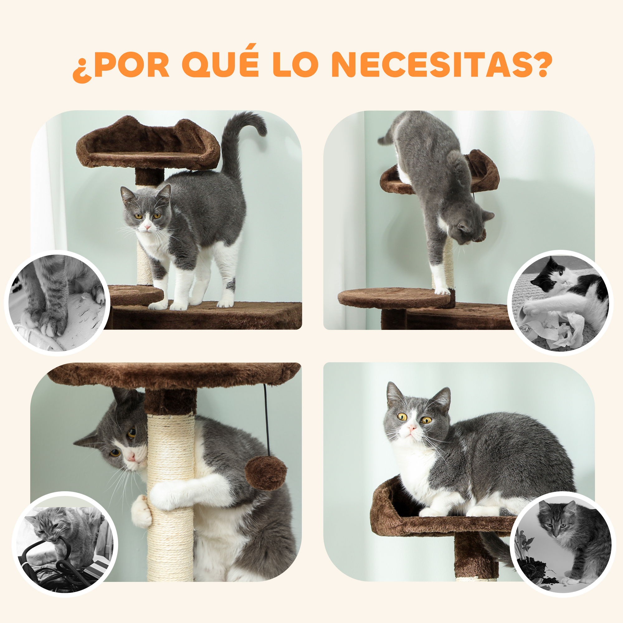 Cuatro gatos en rascadores. Uno juega con papel, otro muerde cables.