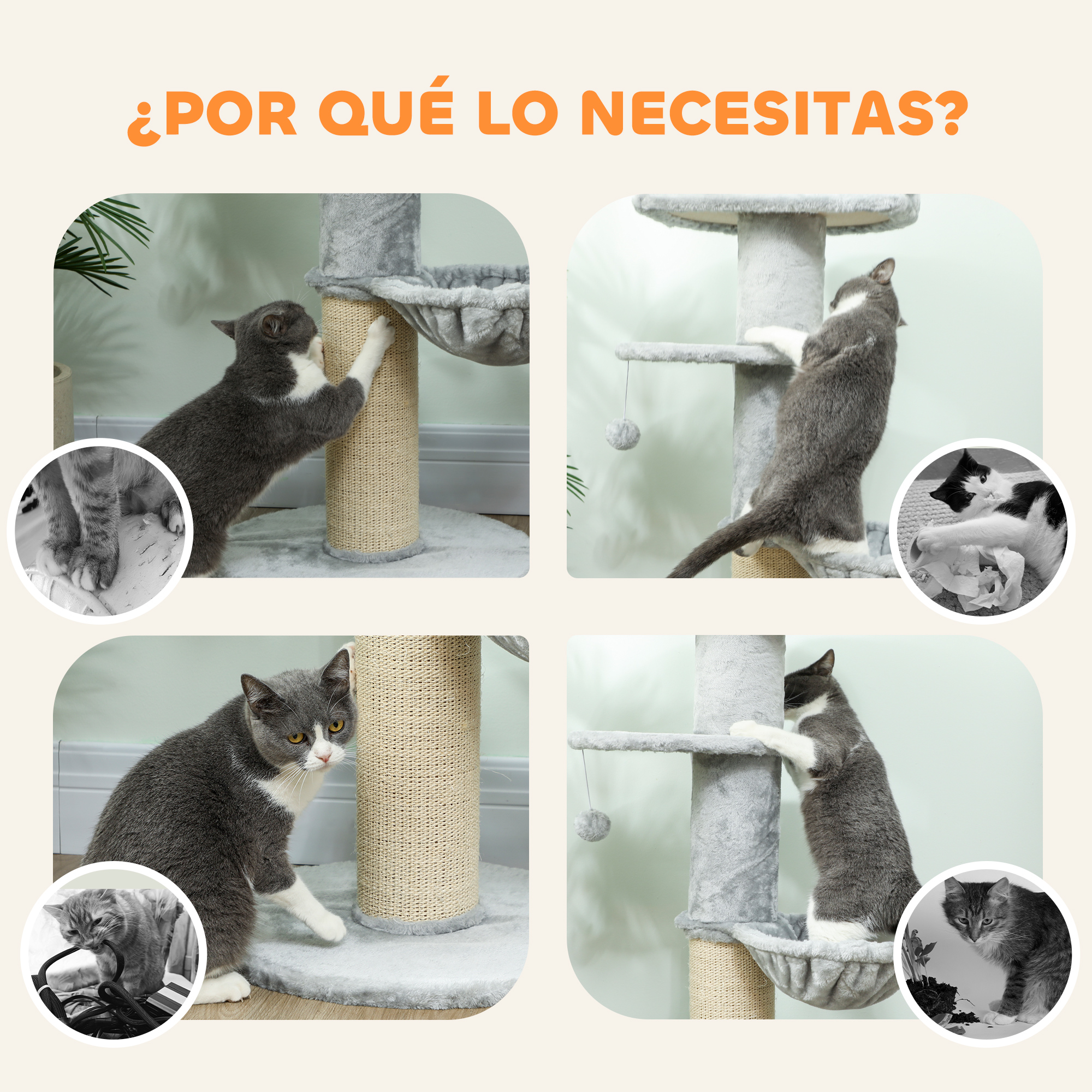 Gatos juegan en un rascador, con primeros planos de patas y juguetes.