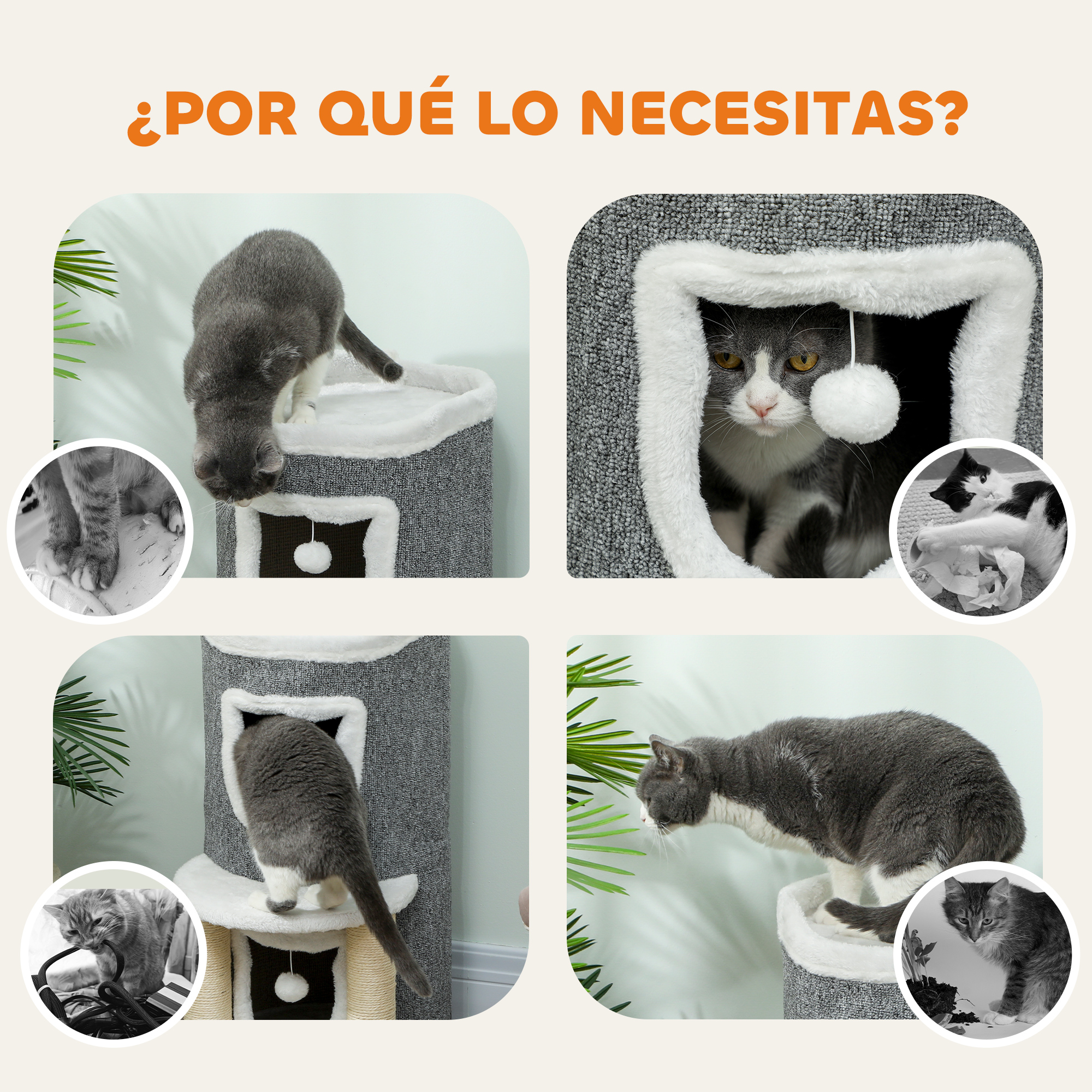 Gato gris y blanco trepa un árbol para gatos. Otras escenas muestran gatos interactuando con juguetes.