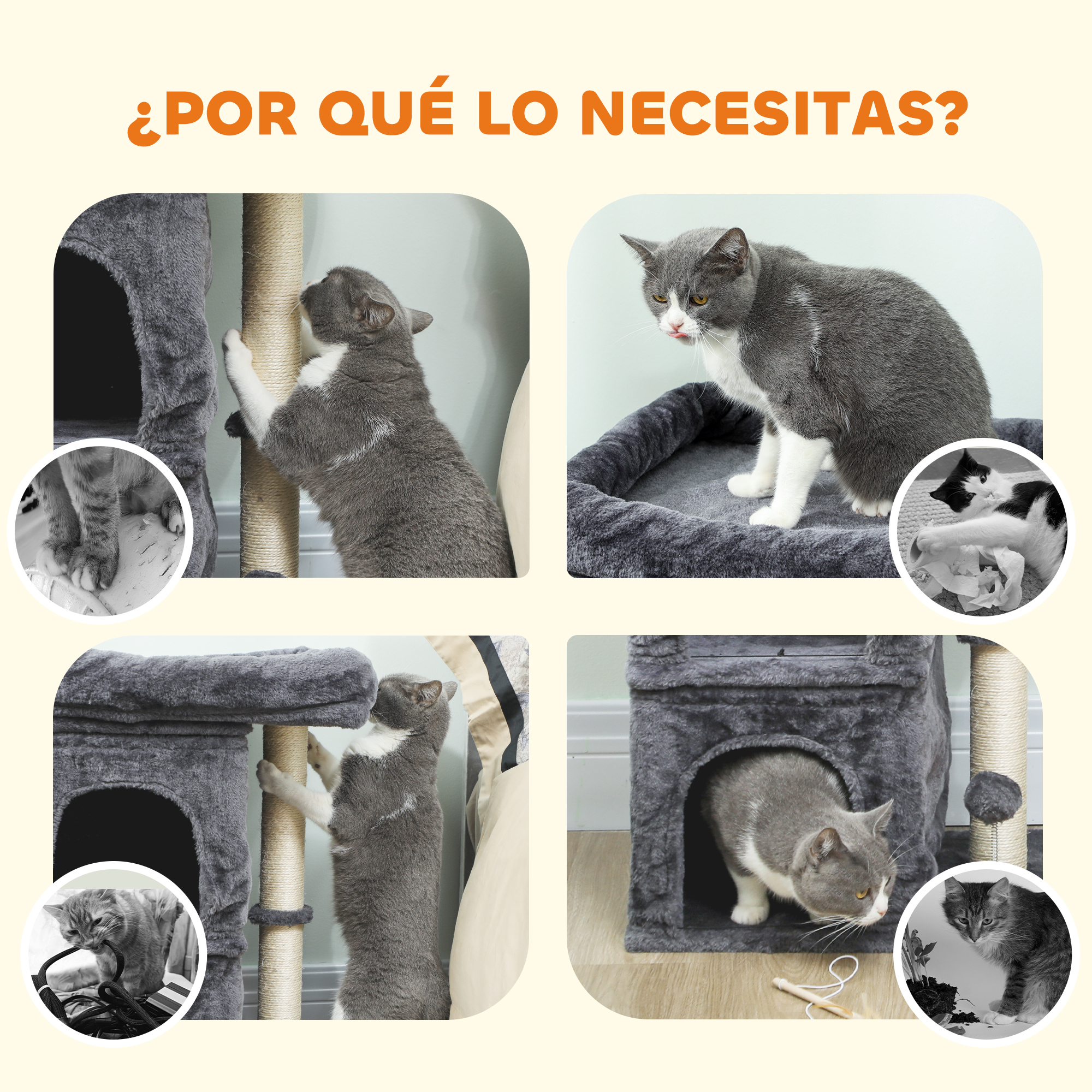 Un gato gris rasca un árbol para gatos. Al lado, un gato en una cama.
