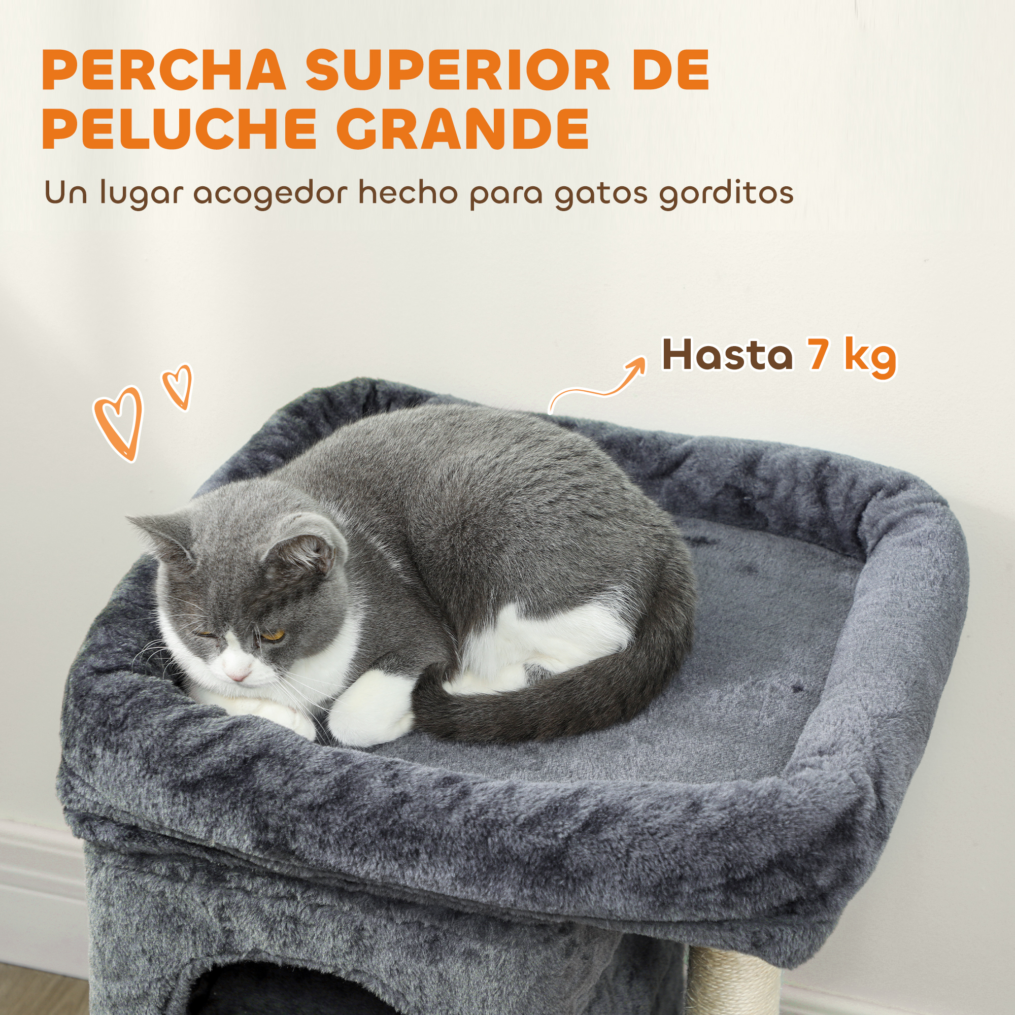 Gato gris y blanco duerme acurrucado en cama de felpa gris. Soporta hasta 7 kg.