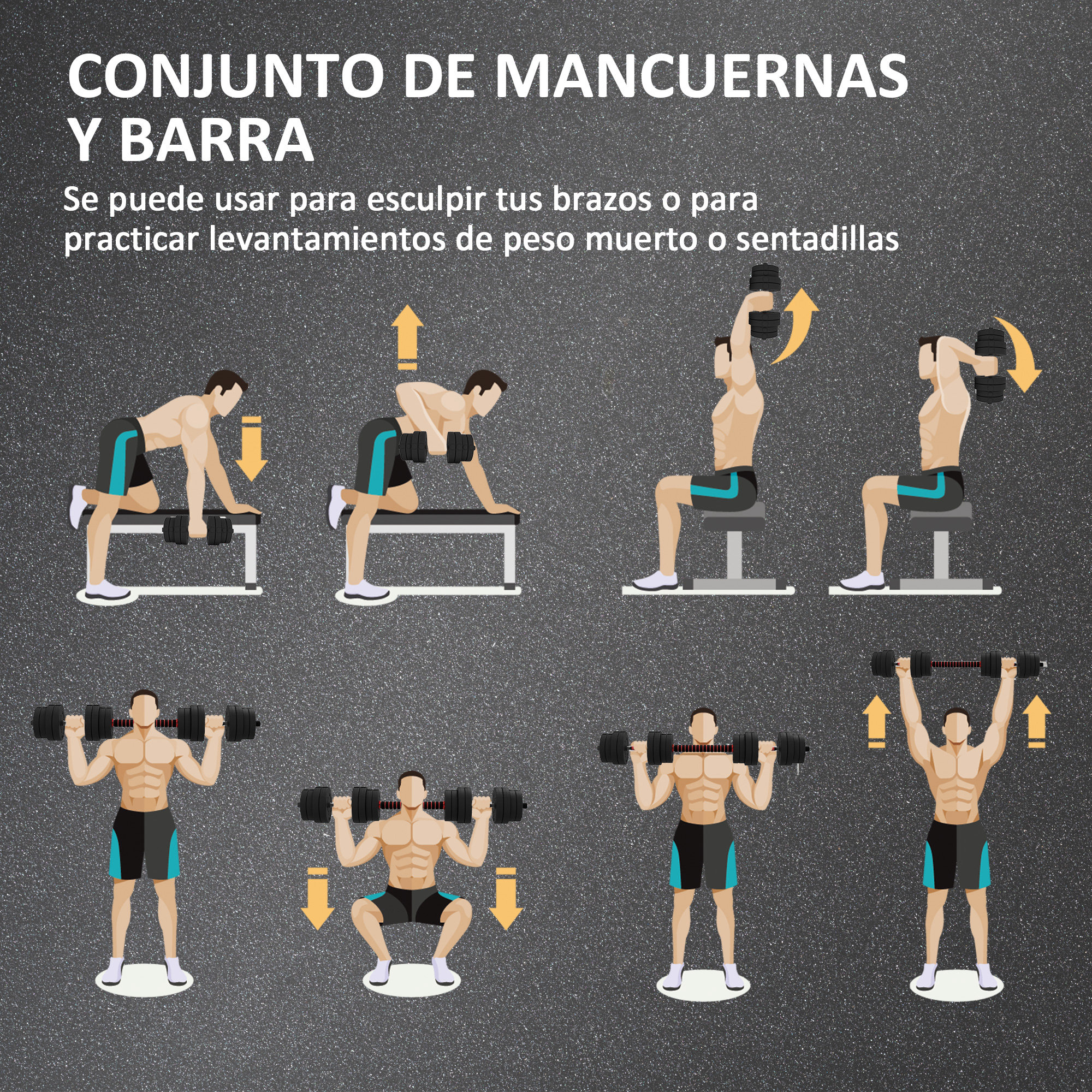 Hombres haciendo ejercicio con mancuernas y barras sobre fondo gris.