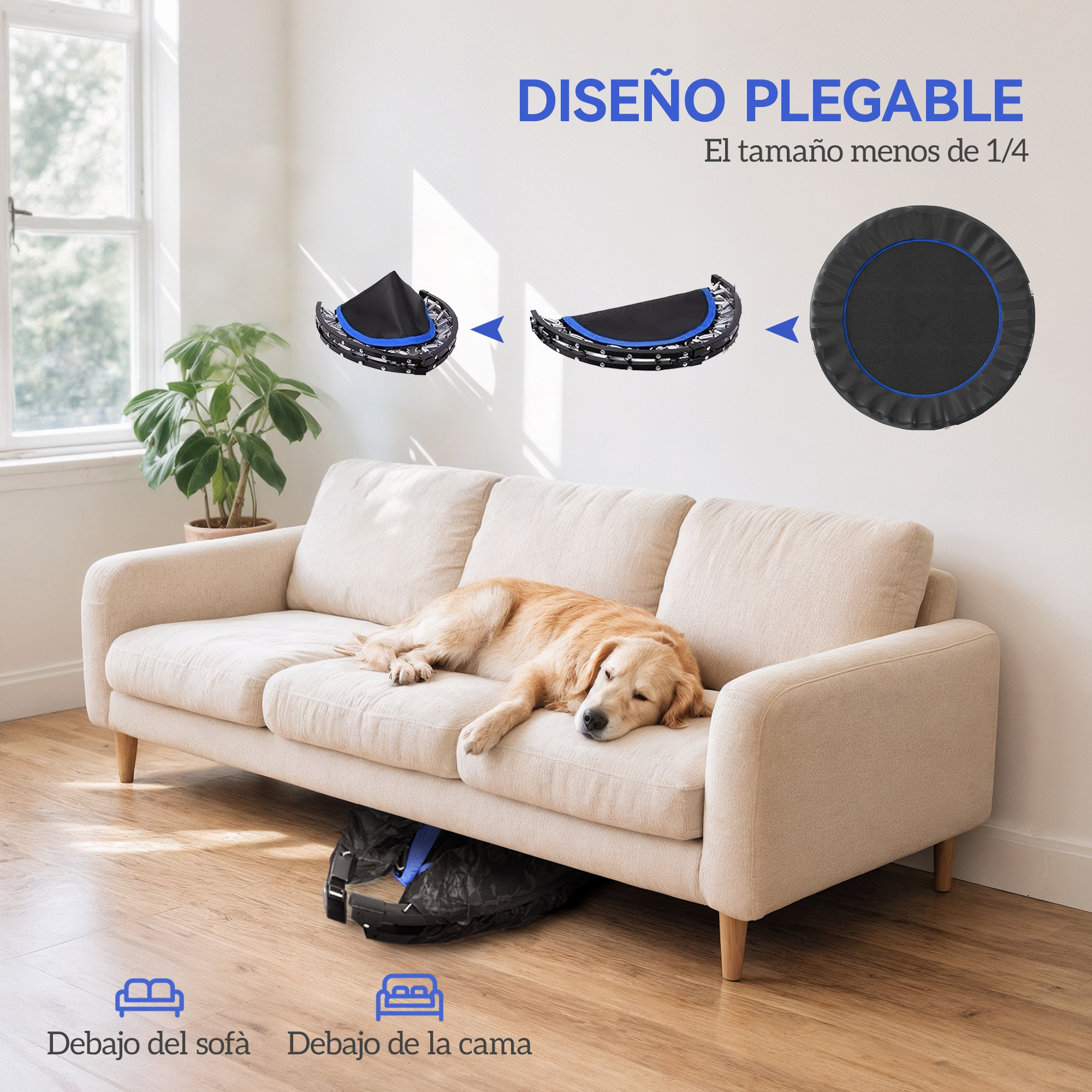 Un perro duerme en un sofá, junto a una cama elástica plegable.
