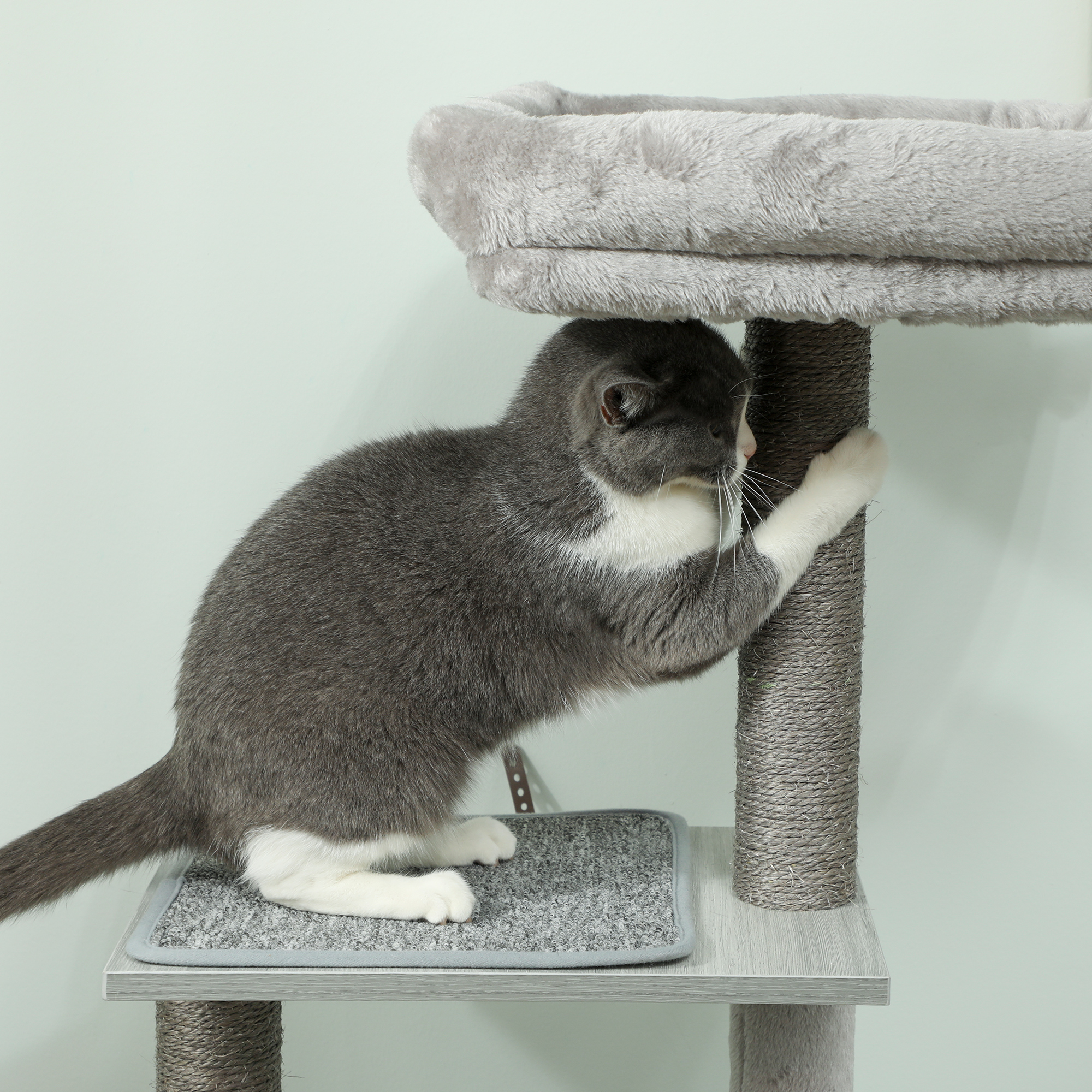 Un gato gris con patas blancas trepa por un rascador de varios niveles.