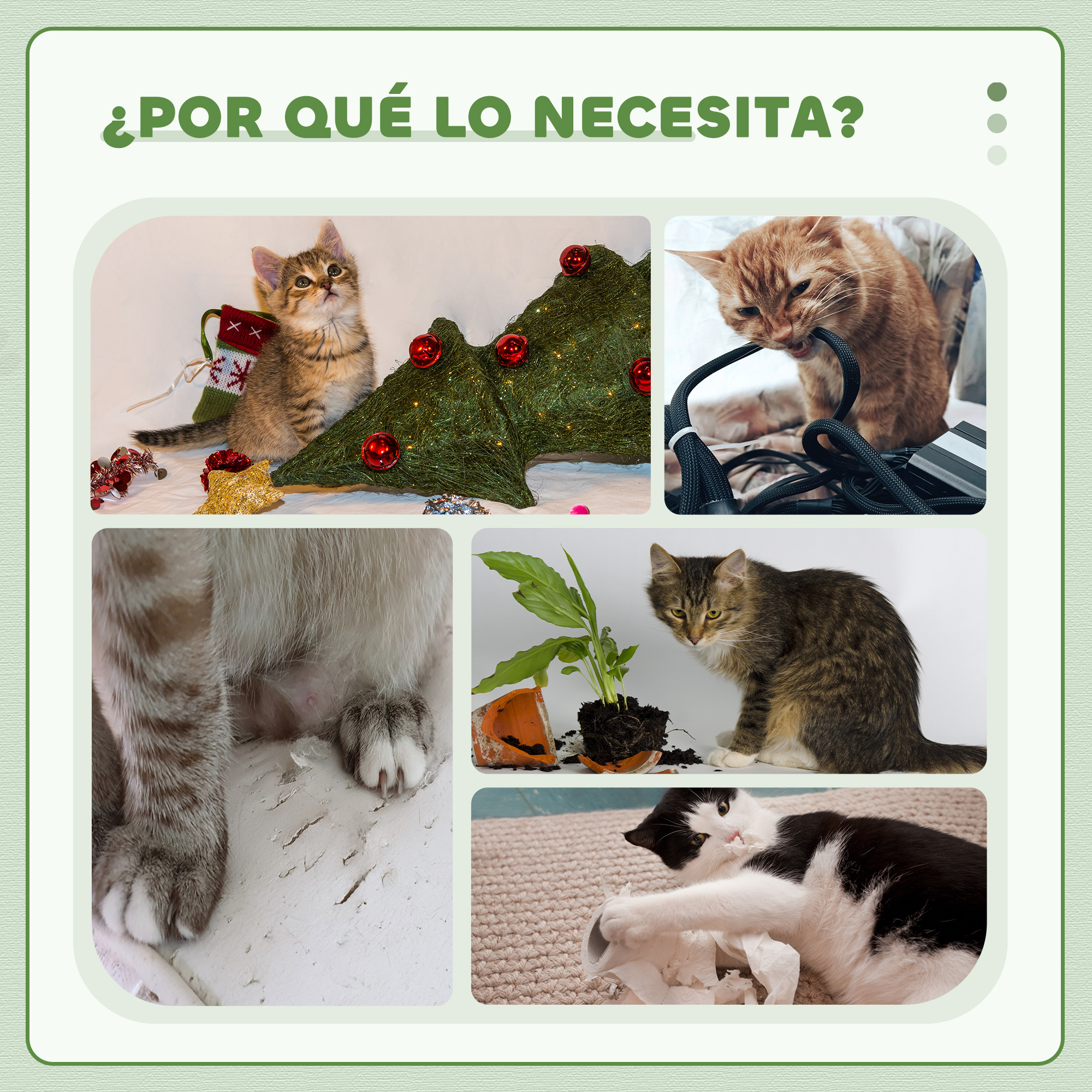 Gatos juegan con adornos navideños, cables, plantas y papel.