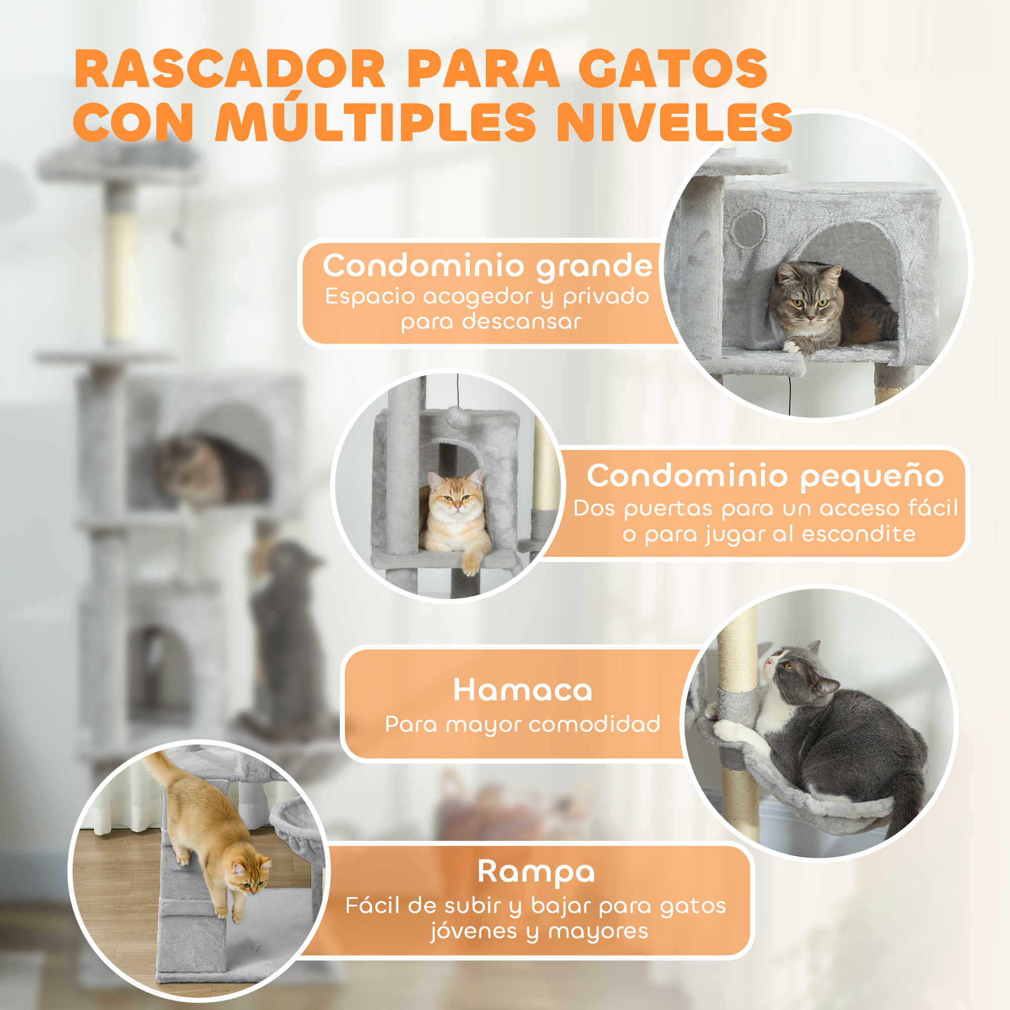 Árboles para gatos con gatos en varias áreas, etiquetados.