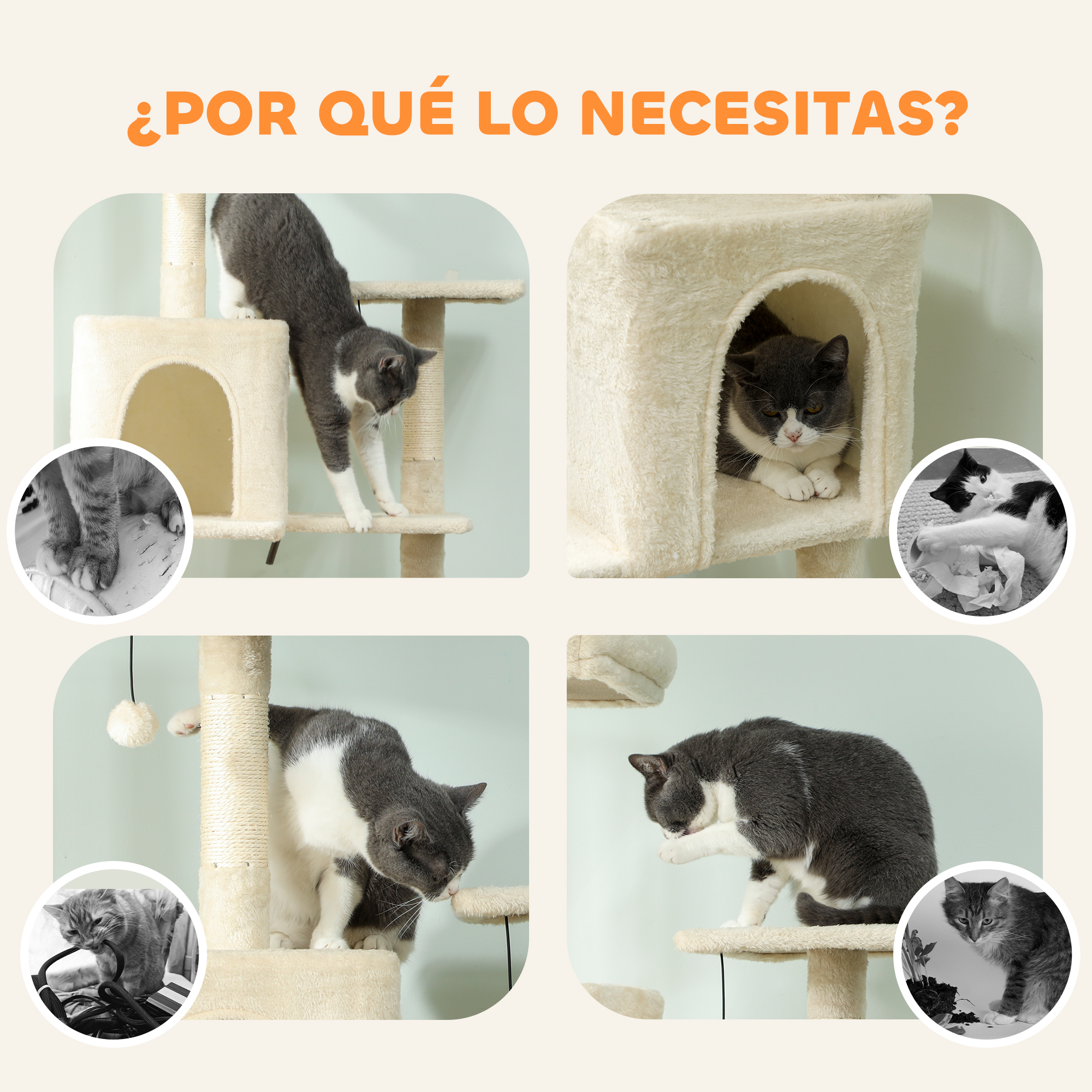 Cuatro escenas de gatos en un rascador: uno trepa, uno descansa, uno juega, uno se acicala.