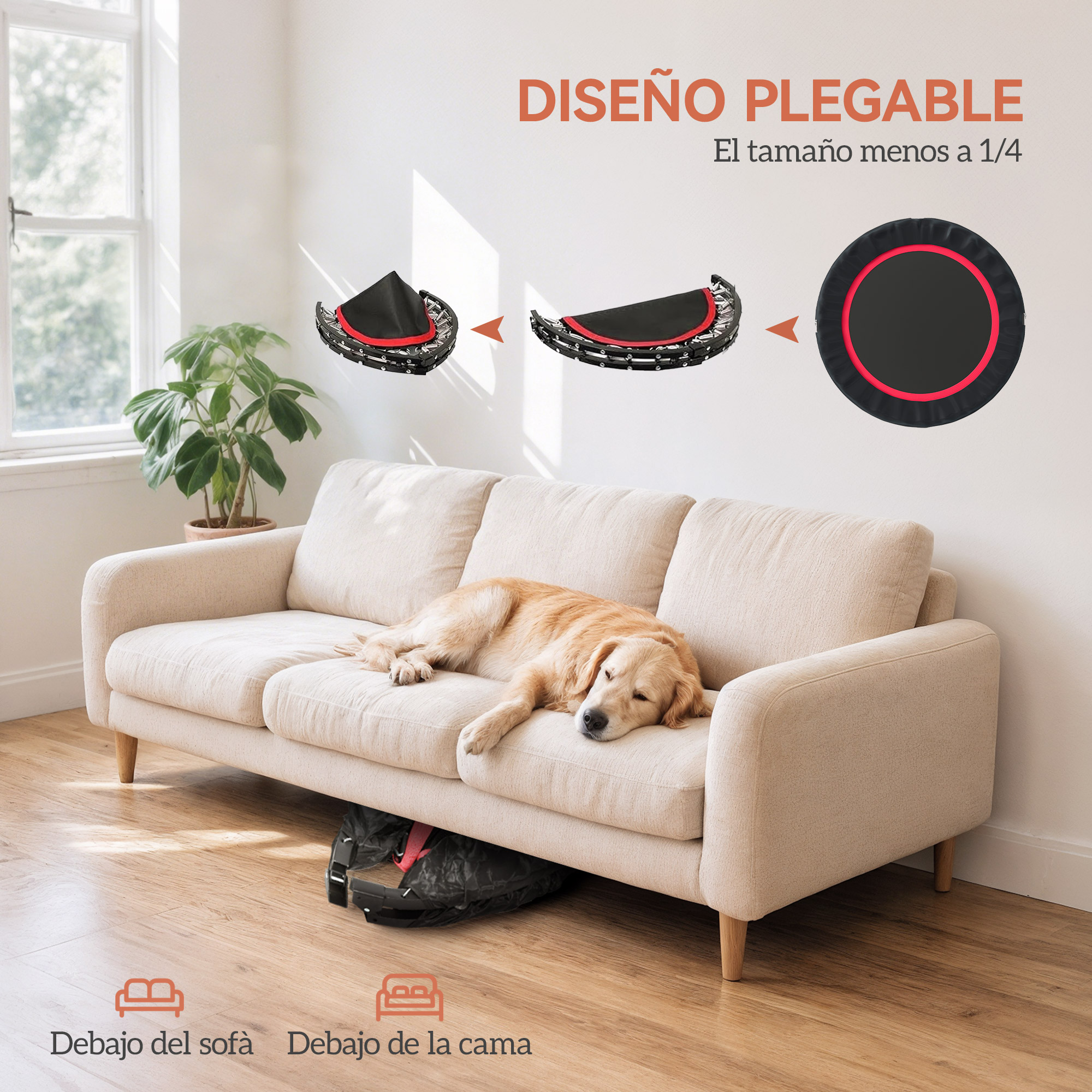 Un perro duerme en un sofá con un marco de trampolín plegado cerca.