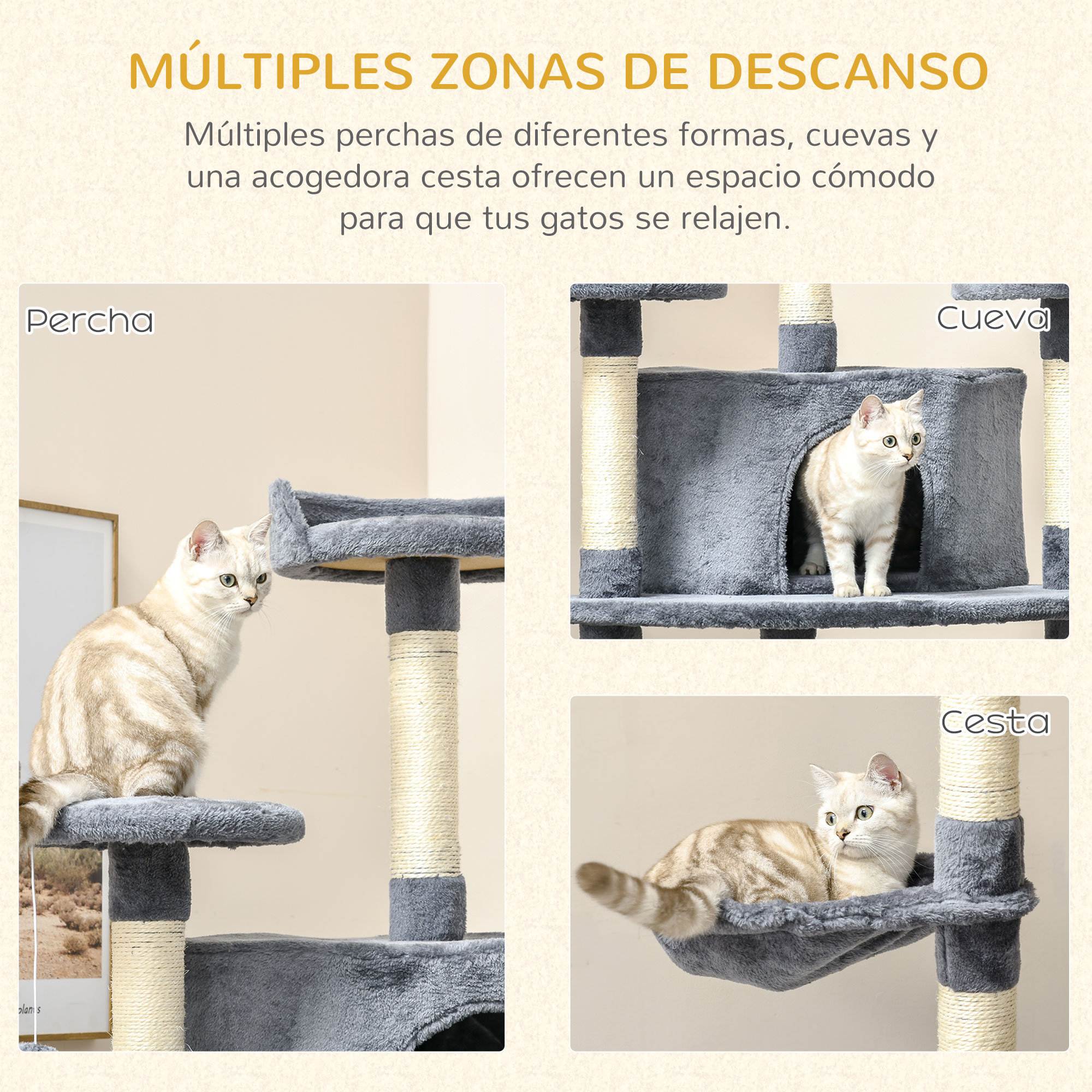Un gato atigrado se sienta en una percha, otro en una cueva.