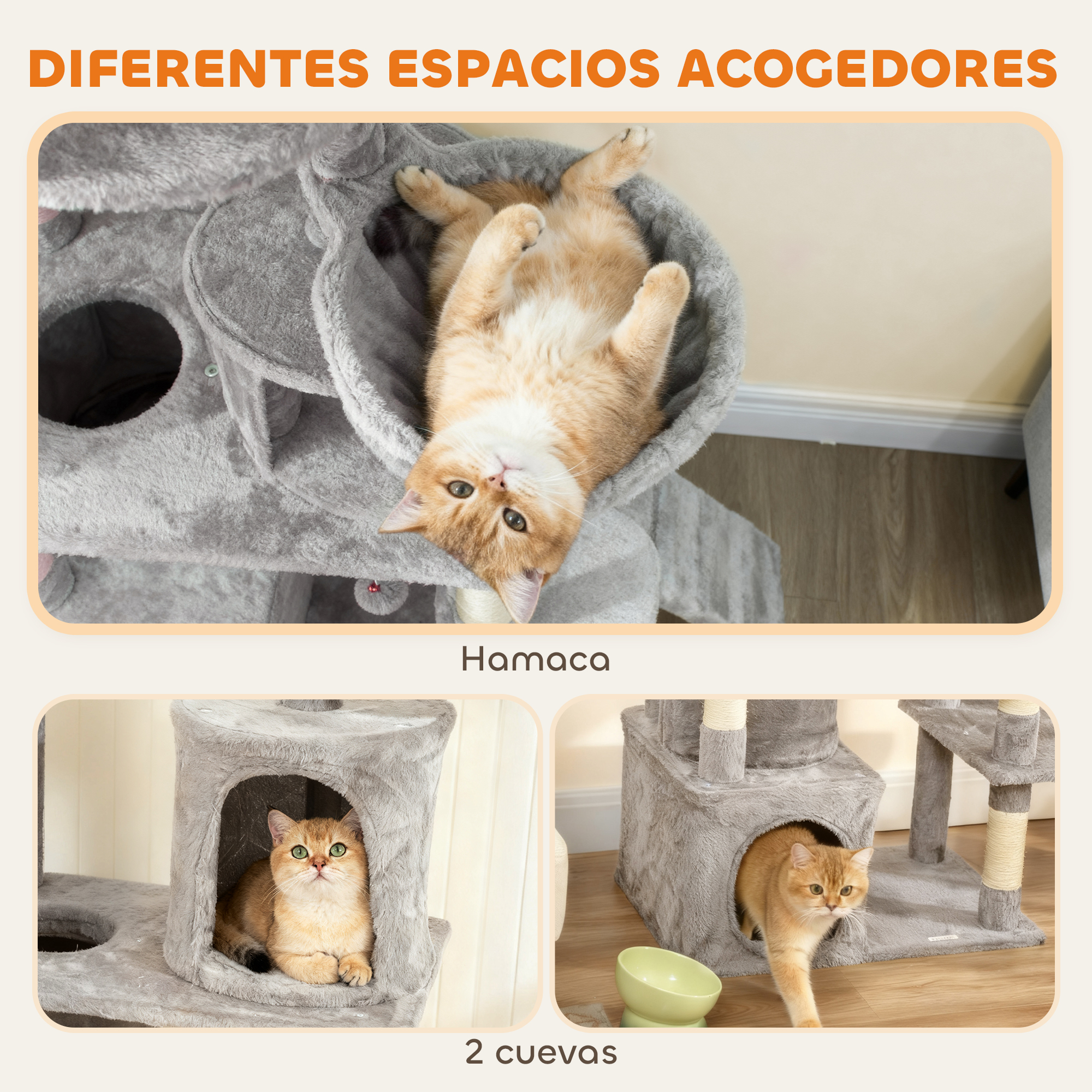 Gato boca abajo en hamaca; otros gatos en cuevas.