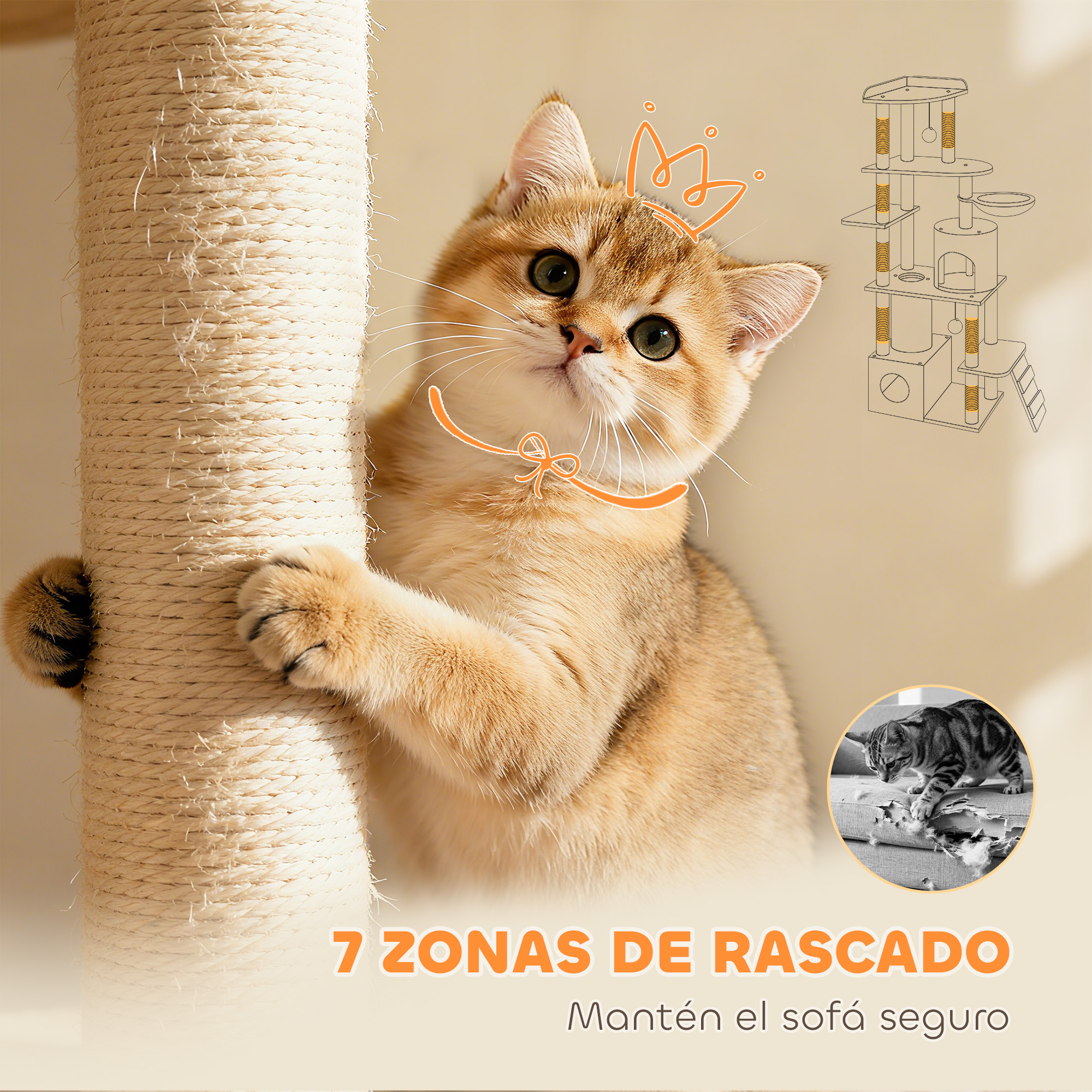 Gato dorado con corona en poste rascador. Texto: 7 zonas de rascado.