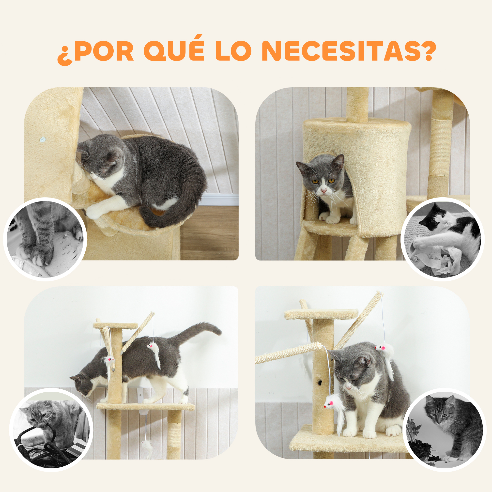 Gatos en árboles rascadores: uno duerme, uno mira, uno juega con papel, uno muerde cuerdas.