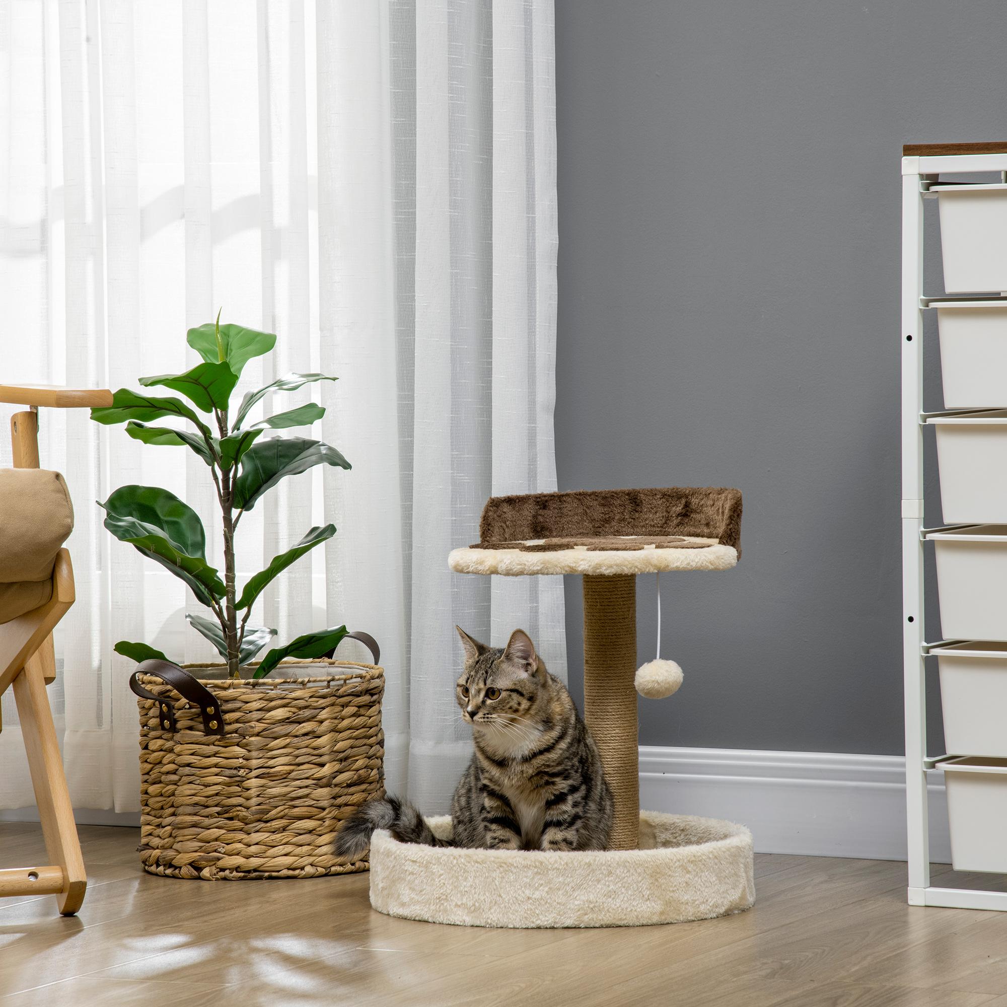 Un gato atigrado se sienta en una cama mullida junto a un árbol para gatos. Cerca hay una planta y una silla.