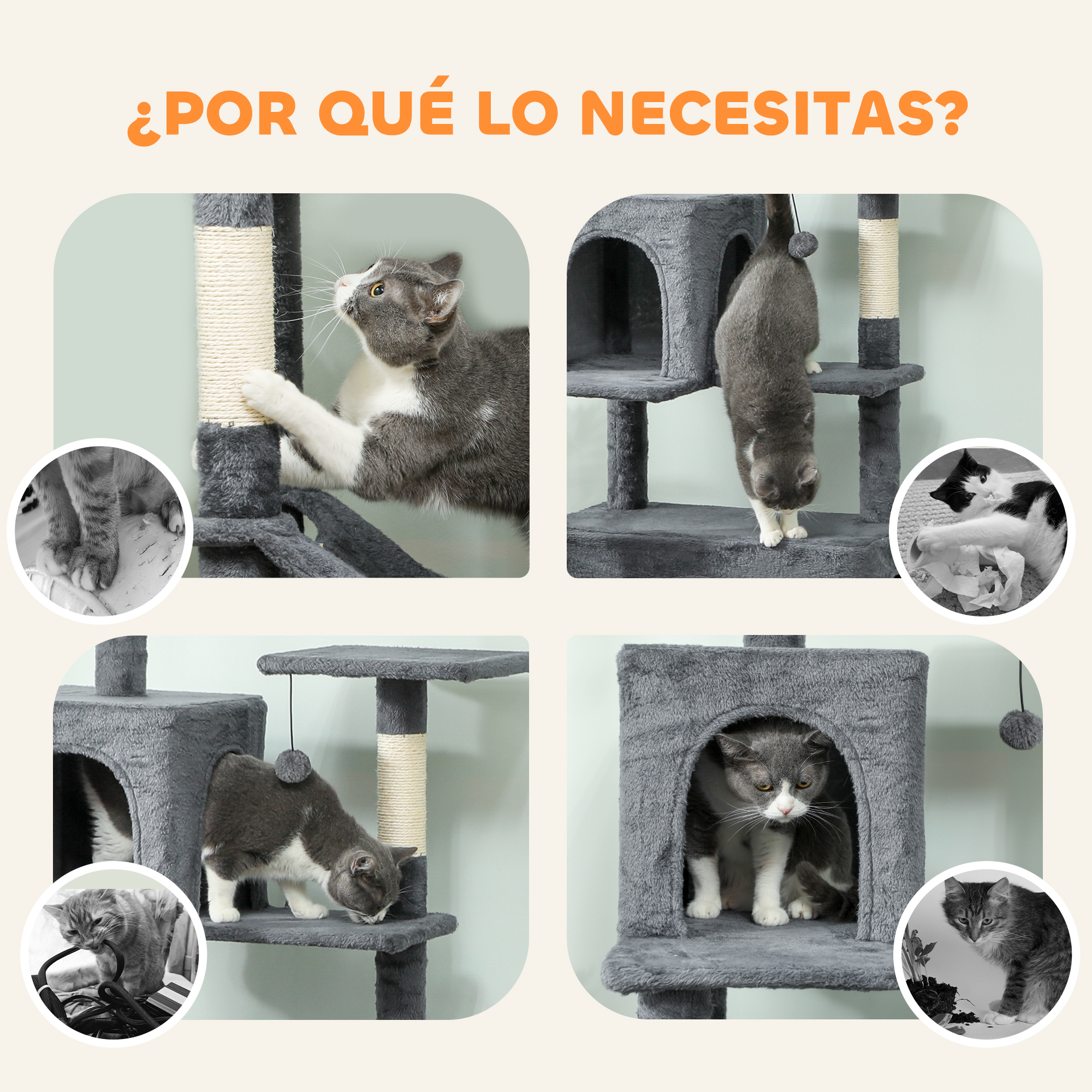 Gatos grises y blancos en un árbol para gatos, algunos juegan, otros descansan.