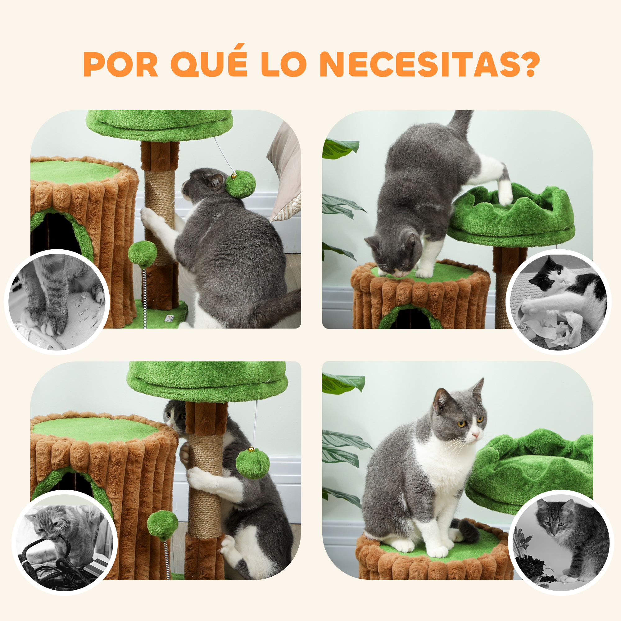 Un collage muestra gatos interactuando con un árbol para gatos. Se ven varios gatos.