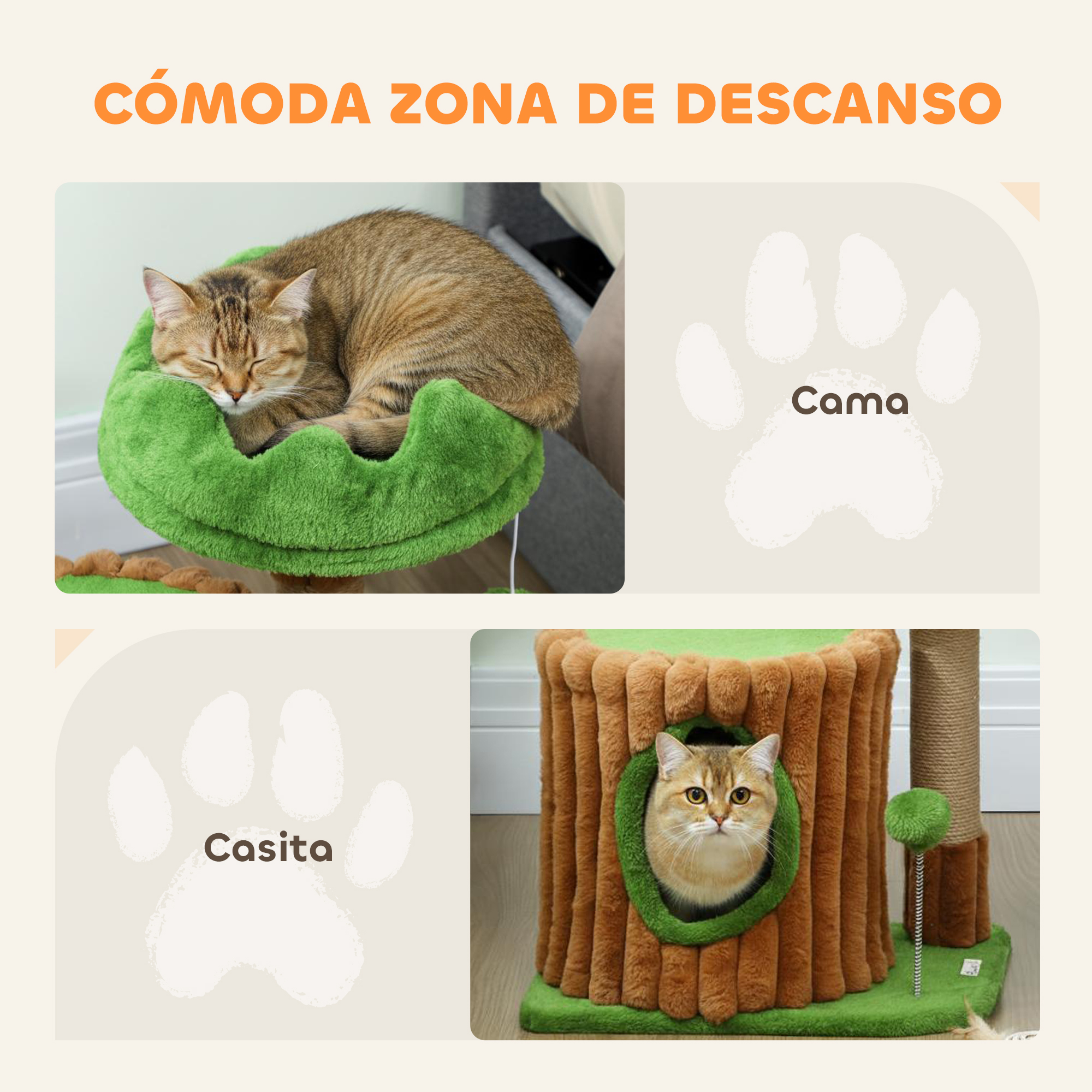 Gato durmiendo en cama verde, otro gato asoma de una casita.