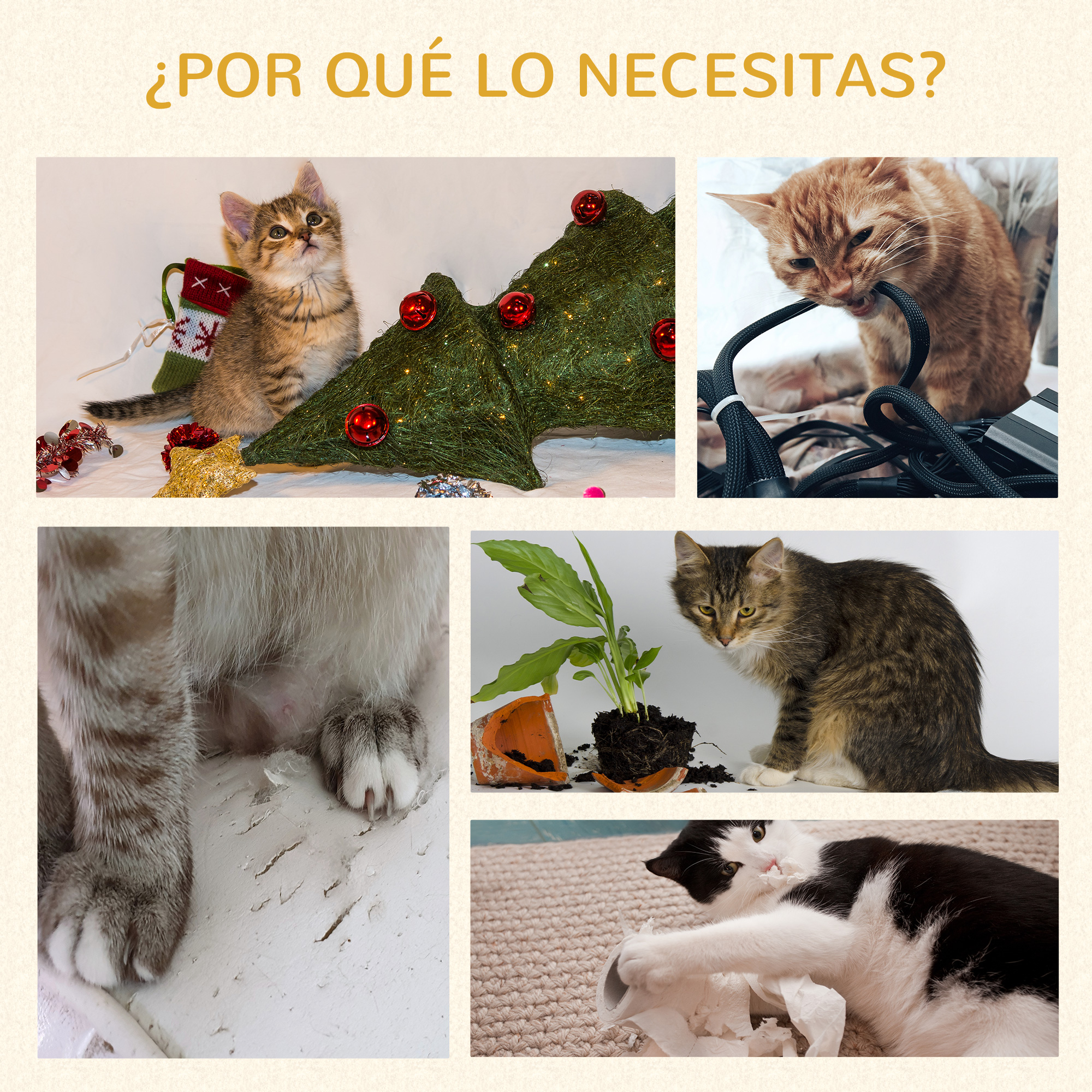 Cinco imágenes de gatos: gatito con decoración navideña, gato naranja mordiendo cable, patas de gato, planta volcada, gato jugando con papel.