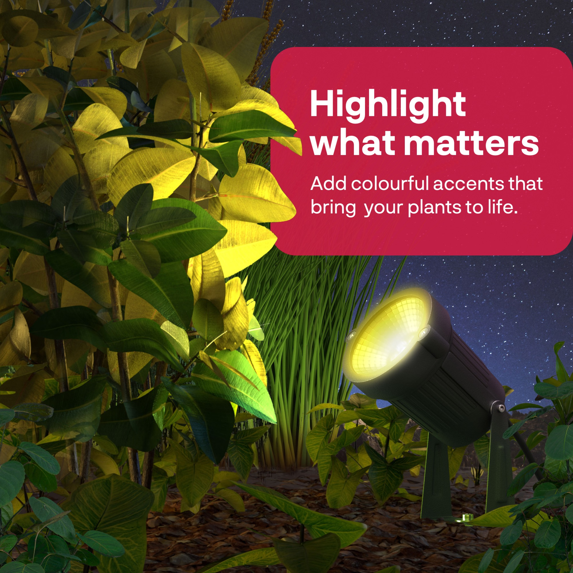 A dark spotlight illuminates plants under a starry night sky.