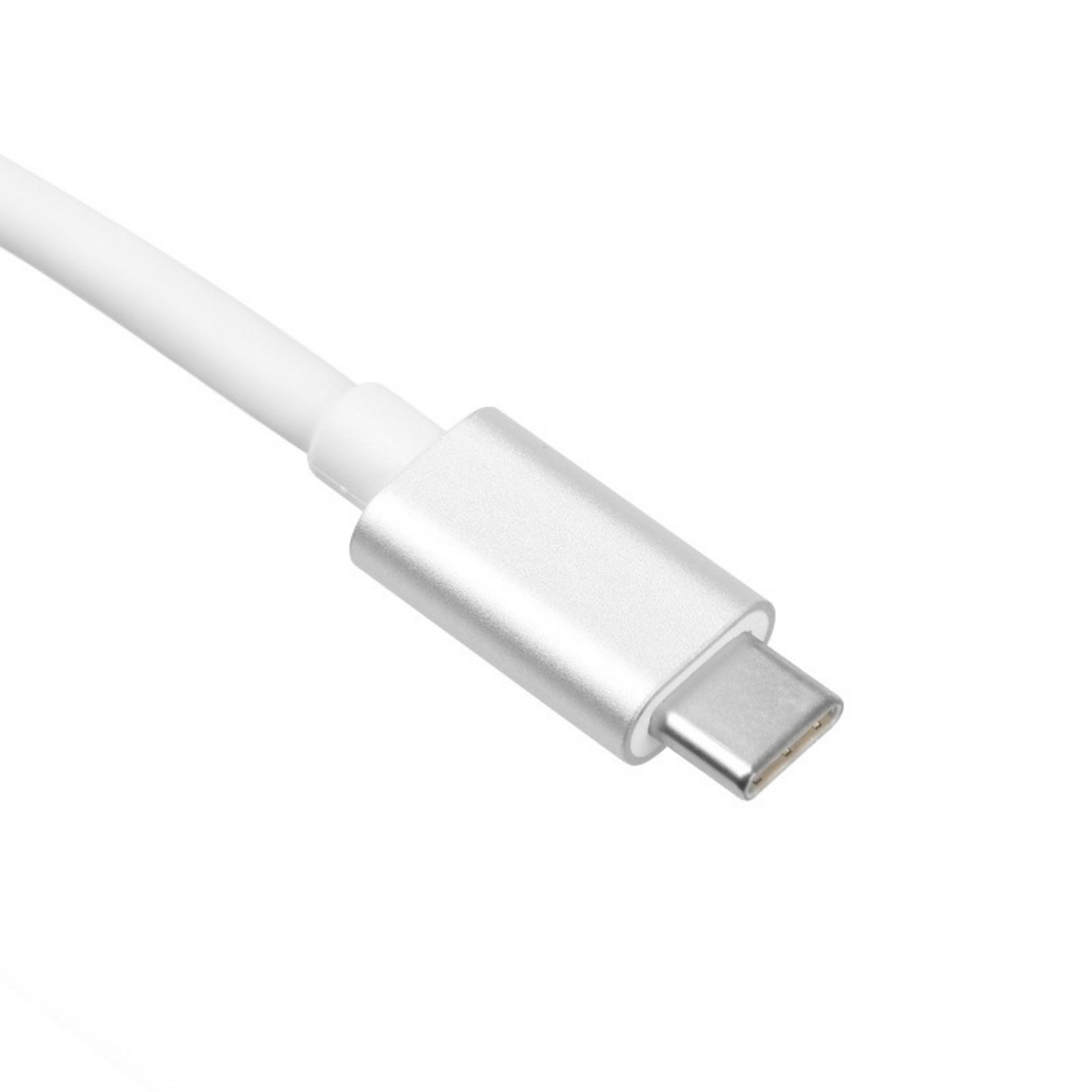 Beyaz arka plan üzerinde gümüş konektörlü beyaz USB-C kablosu.