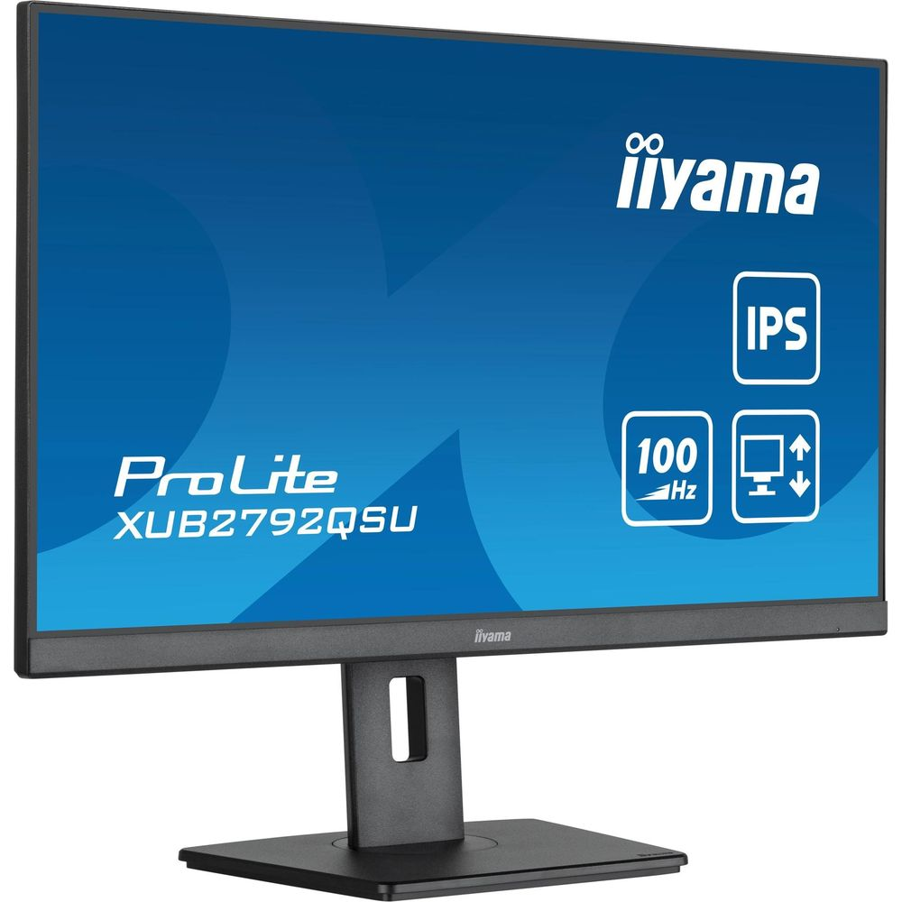 Srebrny monitor Iiyama ProLite z ekranem IPS i odświeżaniem 100Hz.