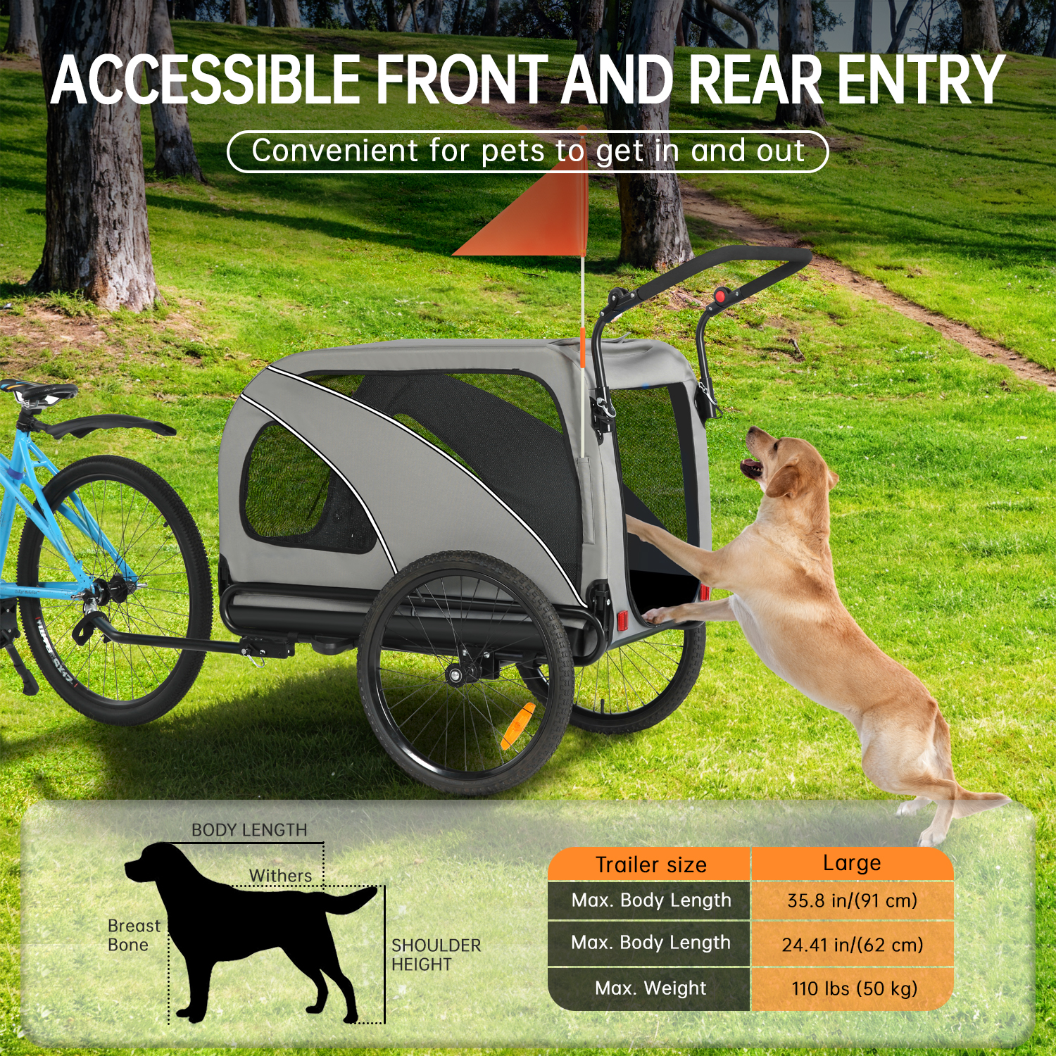 Un cane salta in un carrello da bicicletta. Un diagramma mostra le misure del cane.