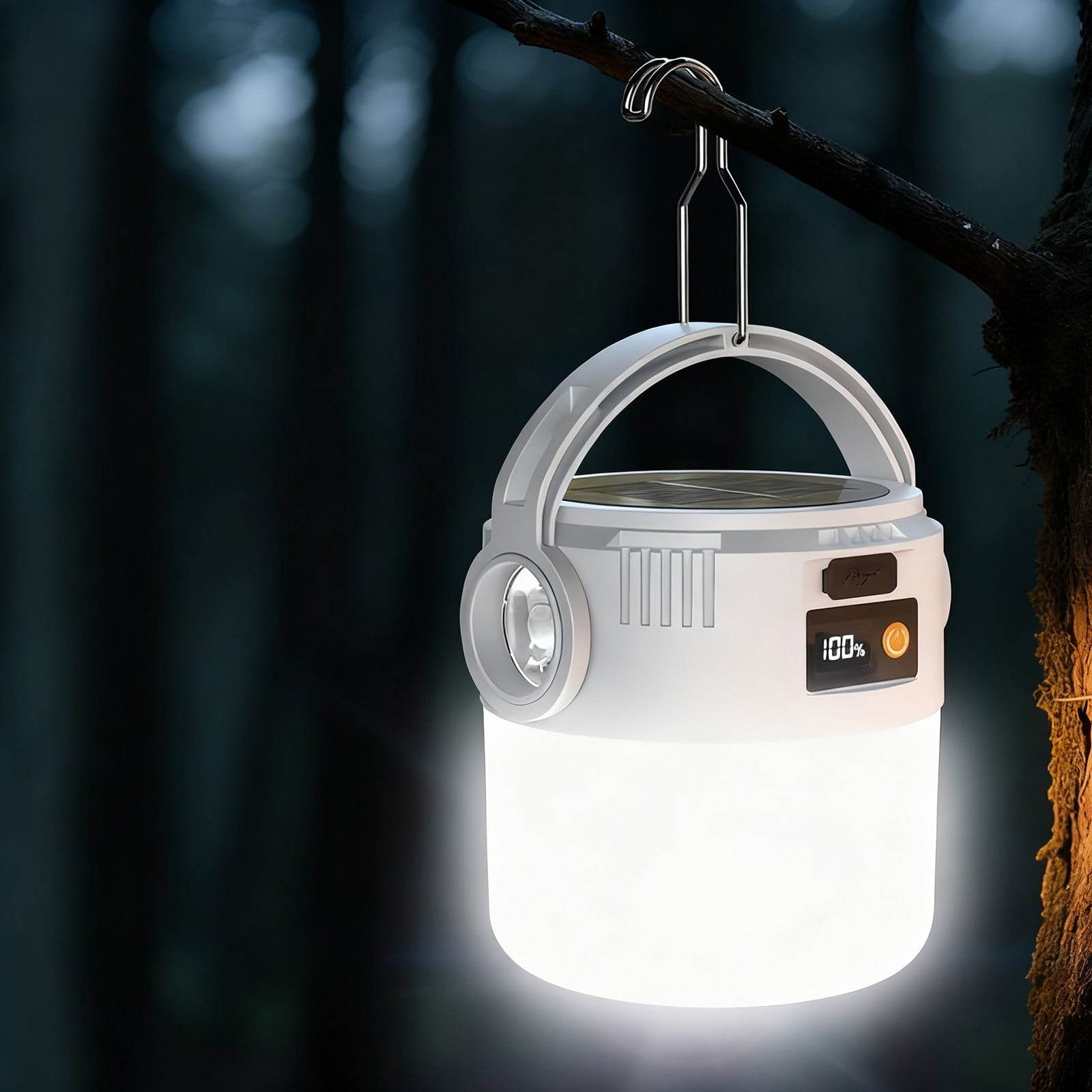 Eine weiße Laterne hängt an einem Ast im Wald. Sie leuchtet hell.