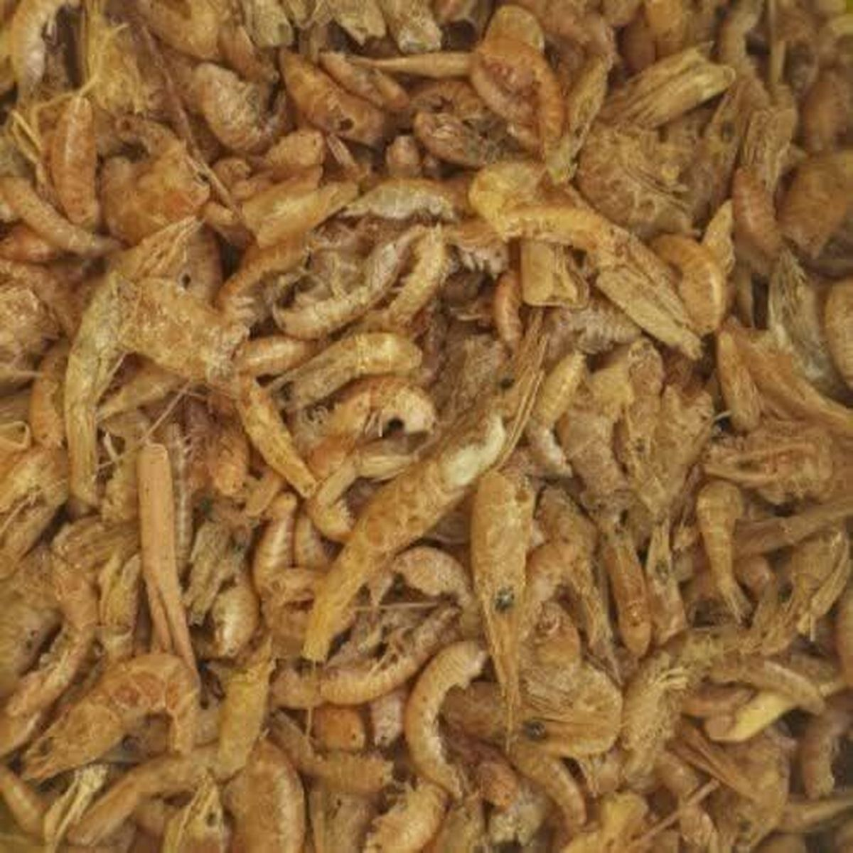 Eine Nahaufnahme von vielen kleinen, getrockneten Garnelen, die dicht beieinander liegen.
