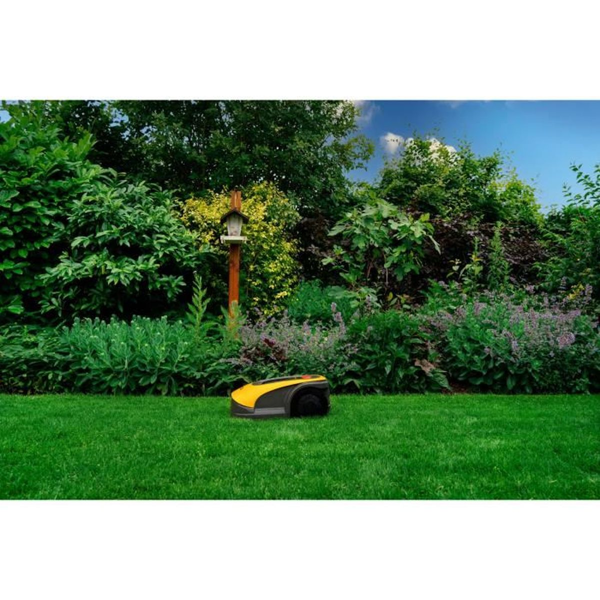 Ein gelber und schwarzer Mähroboter steht auf einem grünen Rasen vor einem üppigen Garten.