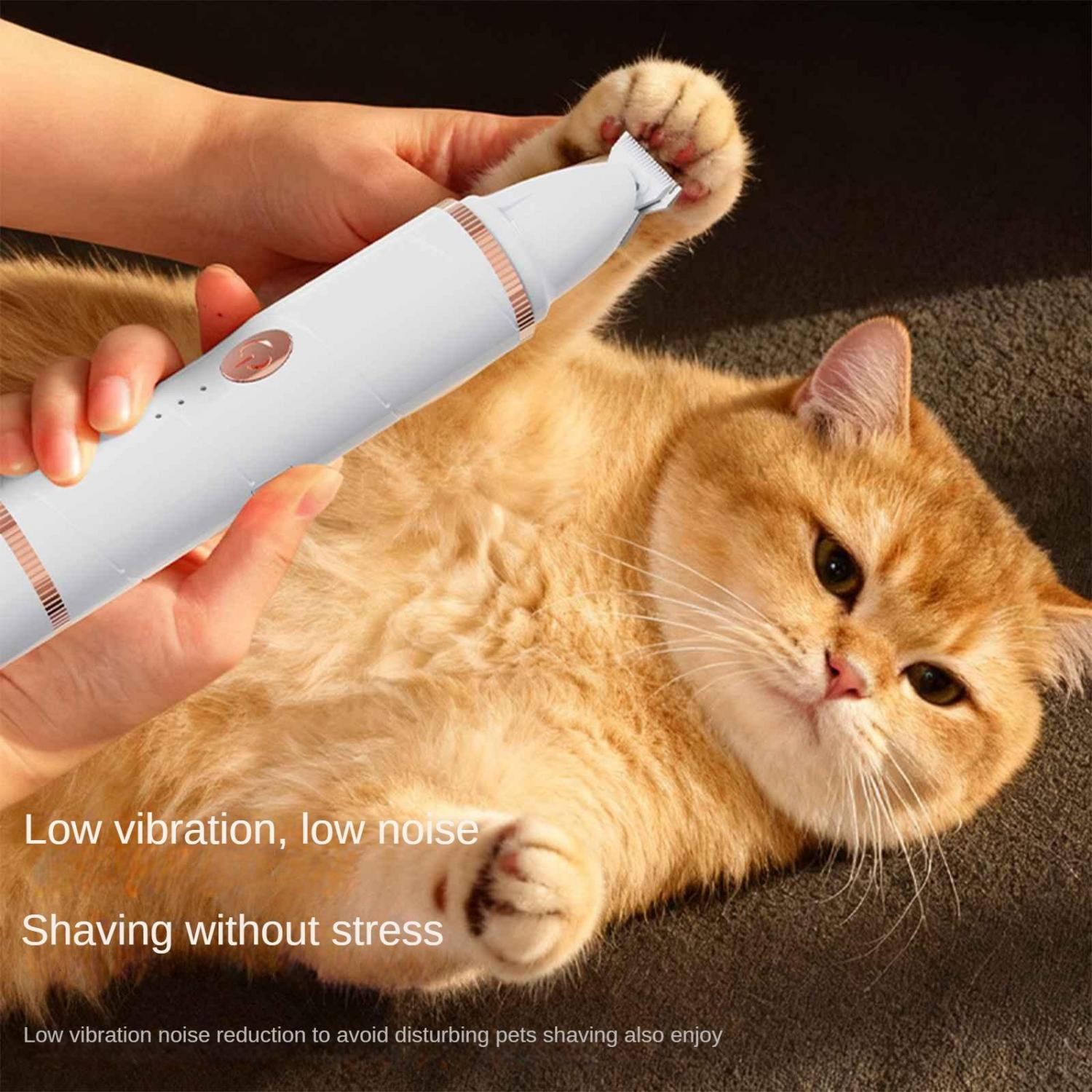 Eine Hand hält einen weißen Nagelschneider am Ohr einer orangefarbenen Katze.