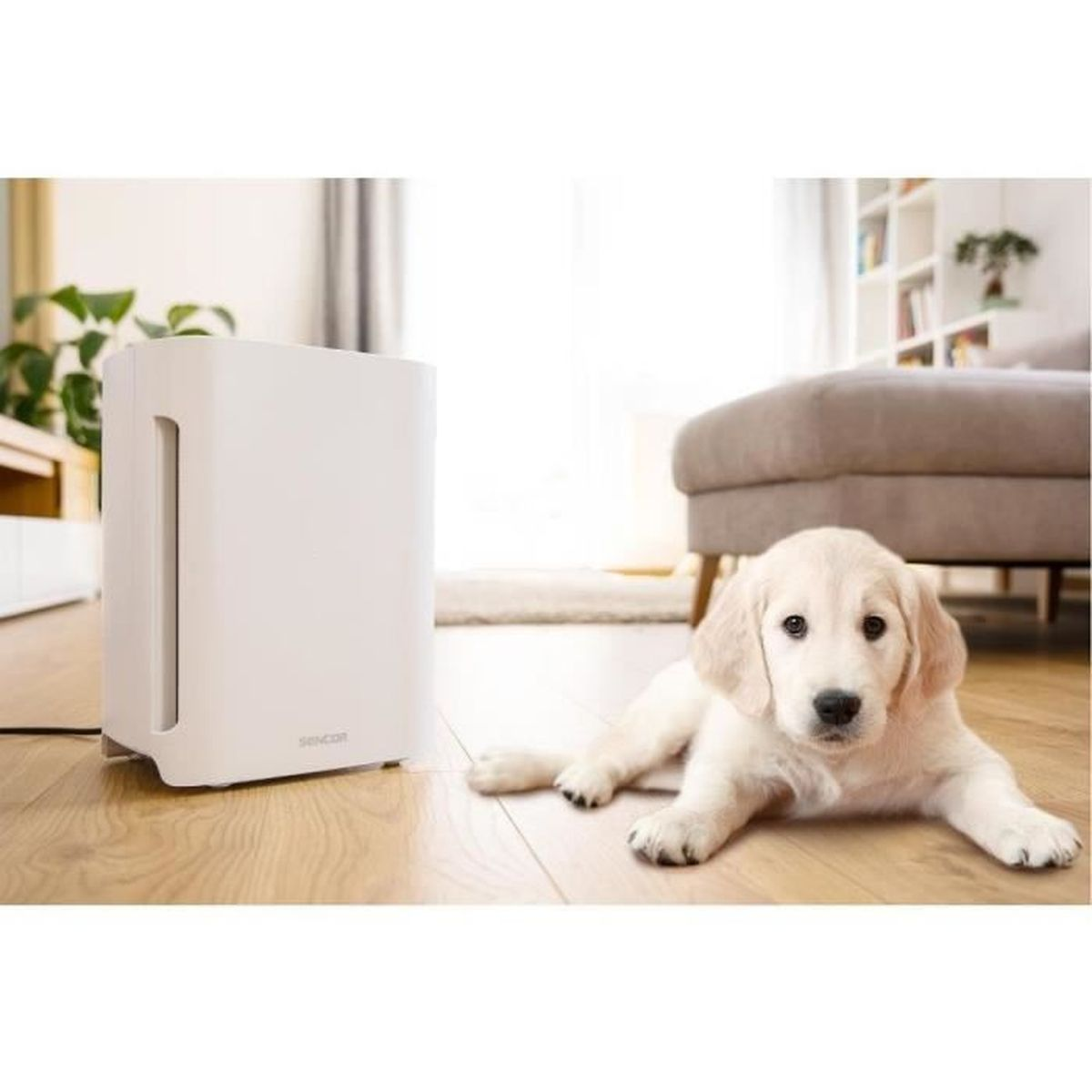 Un purificatore d'aria bianco accanto a un cucciolo marrone chiaro sdraiato su un pavimento in legno.