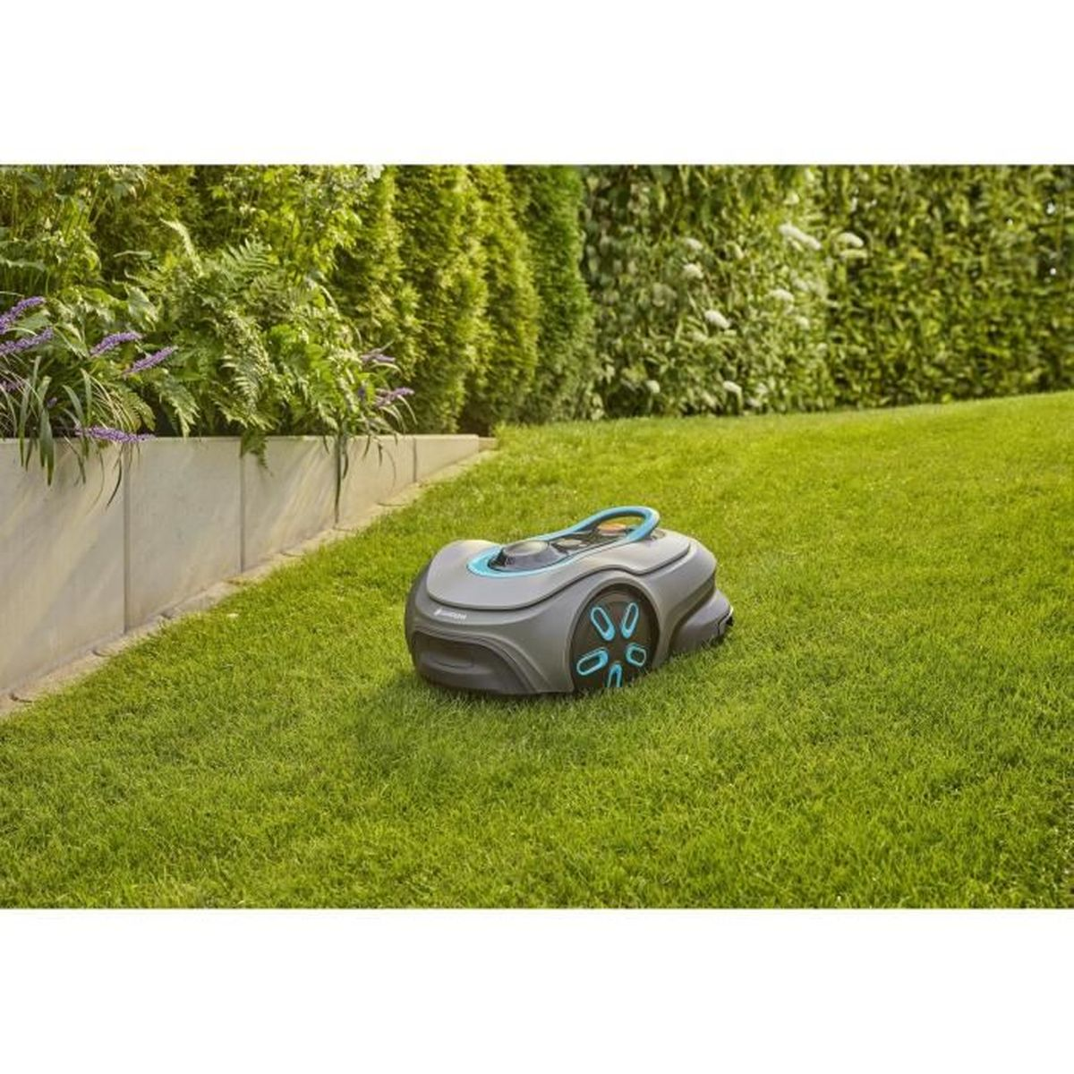 Ein grauer Mähroboter mit blauen Akzenten steht auf einem grünen Rasen neben einer Hecke.