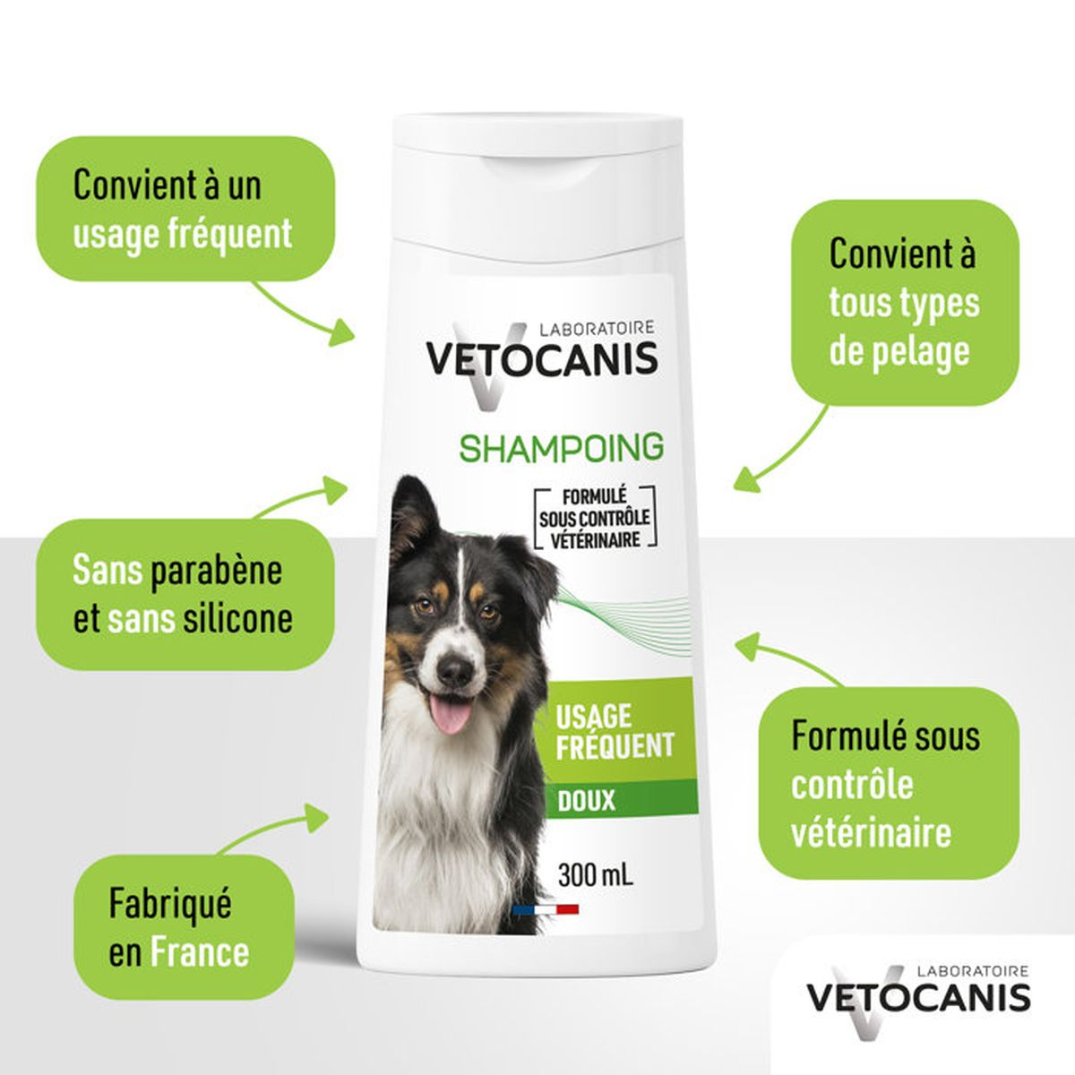 anthurium wendlingeri kaufen Anthurium wendlingeri – Berlinplant main image 1