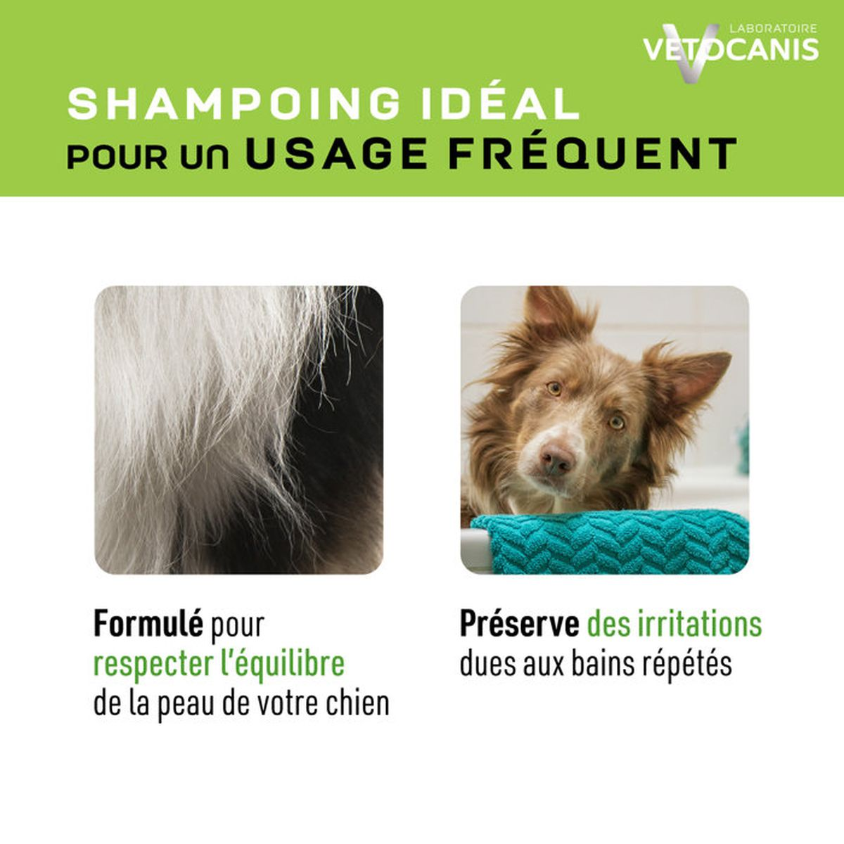 Hundeshampoo für häufige Anwendung, Hautgleichgewicht und Schutz vor Irritationen.