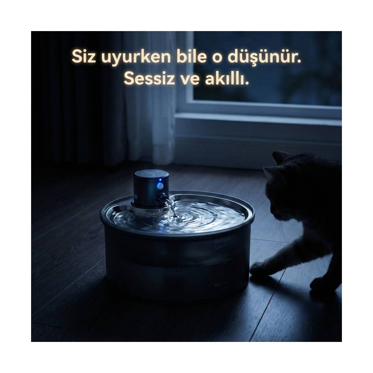 Bir kedi, bir kaseye su veren bir su pınarına bakıyor.