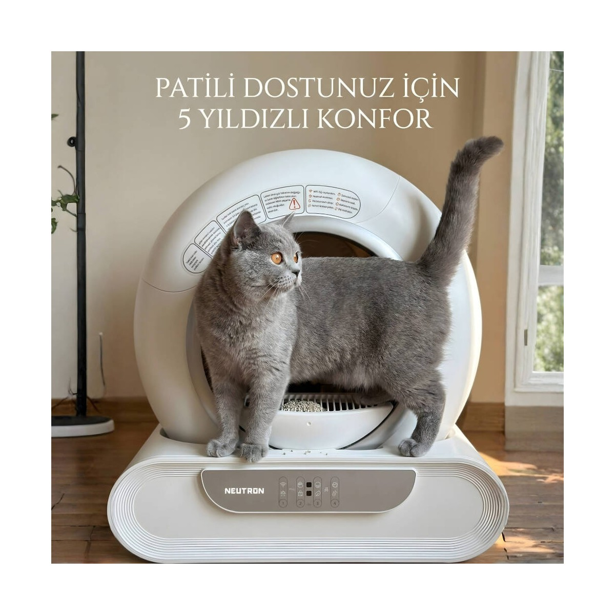 Gri bir kedi beyaz, yuvarlak, kendi kendini temizleyen bir kedi tuvaletinin önünde.