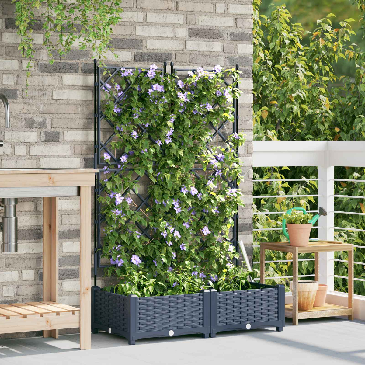 Ein Kletterpflanzen-Gitter mit lila Blumen steht in einem rechteckigen grauen Kasten auf einer Terrasse.