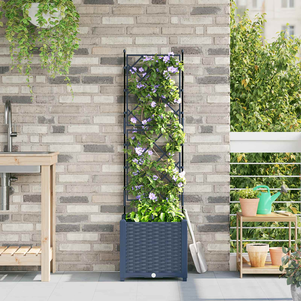 Un traliccio con fiori viola accanto a un lavandino e un porta-paletta.