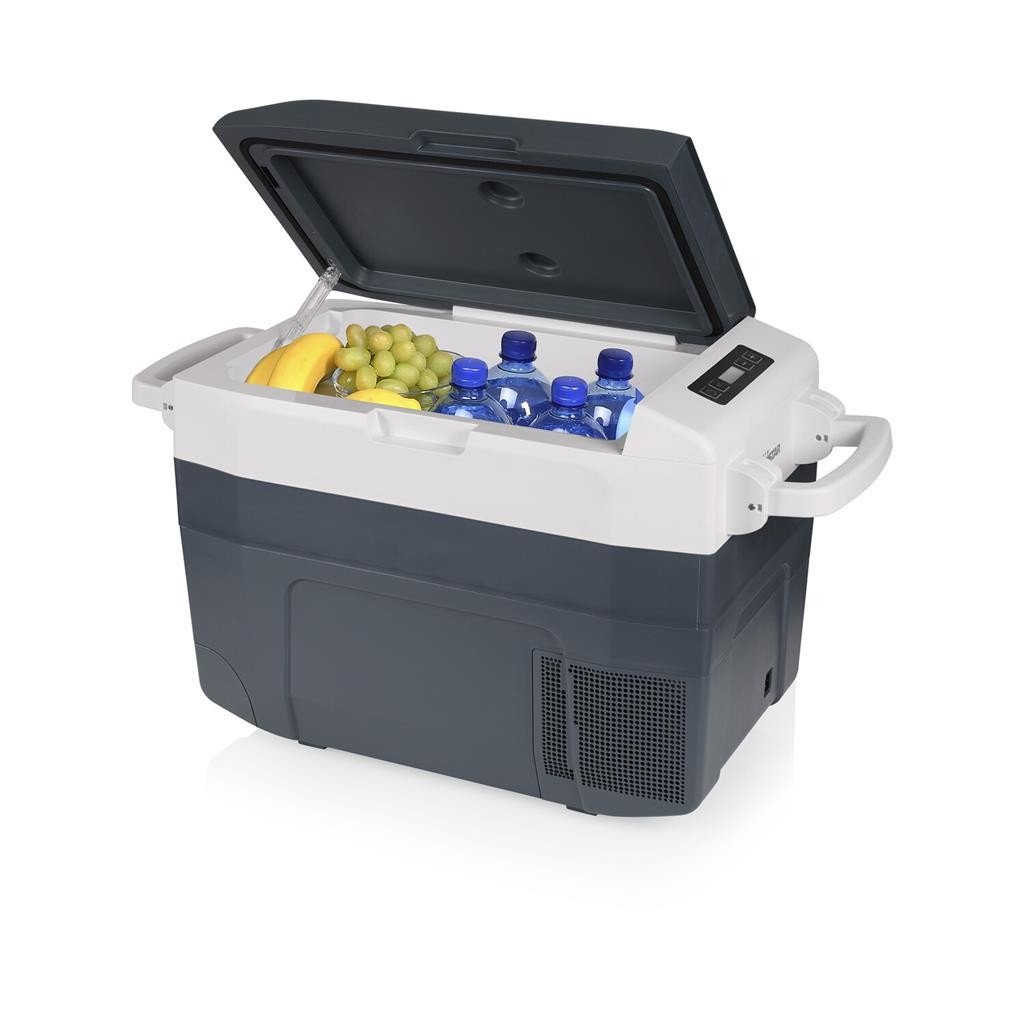 Ein offener Kühlbox mit Wasserflaschen, Trauben und Bananen darin.