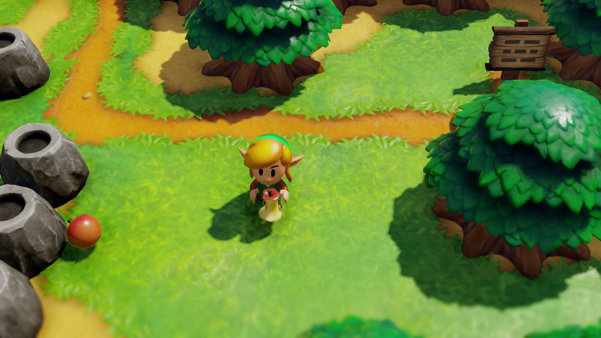 Link está en la hierba sosteniendo una flor, cerca de rocas y árboles.