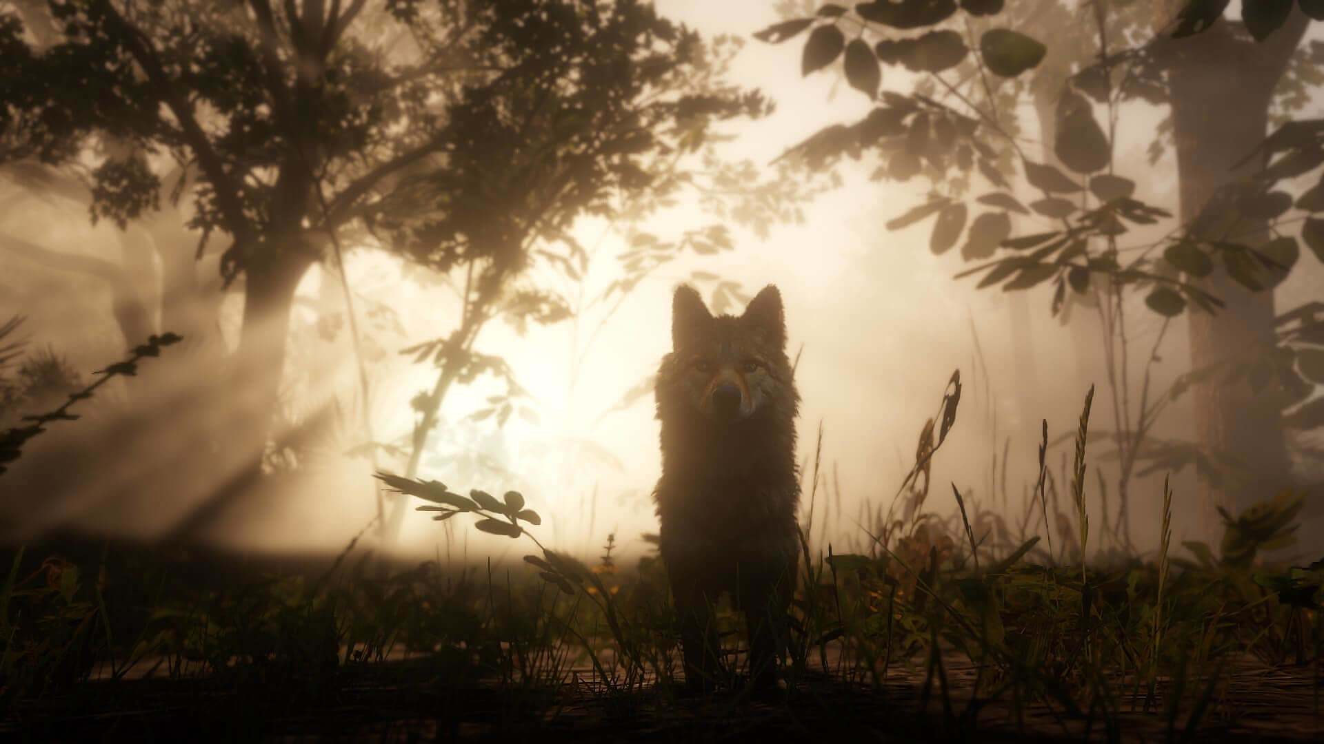 Ein Wolf steht im Nebel auf einem Waldboden, umgeben von Bäumen und Gras.