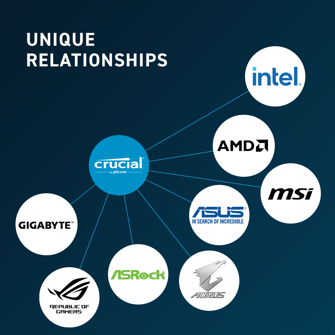 Diagram przedstawia Crucial w centrum, połączony z Intel, AMD, MSI, Asus, Aorus, ASRock, Gigabyte, Republic of Gamers.