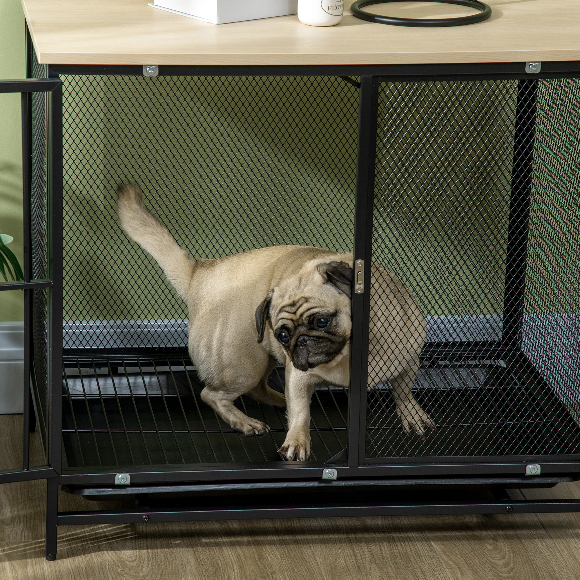 Ein Mops steht in einem schwarzen Metallkäfig mit Holzboden.