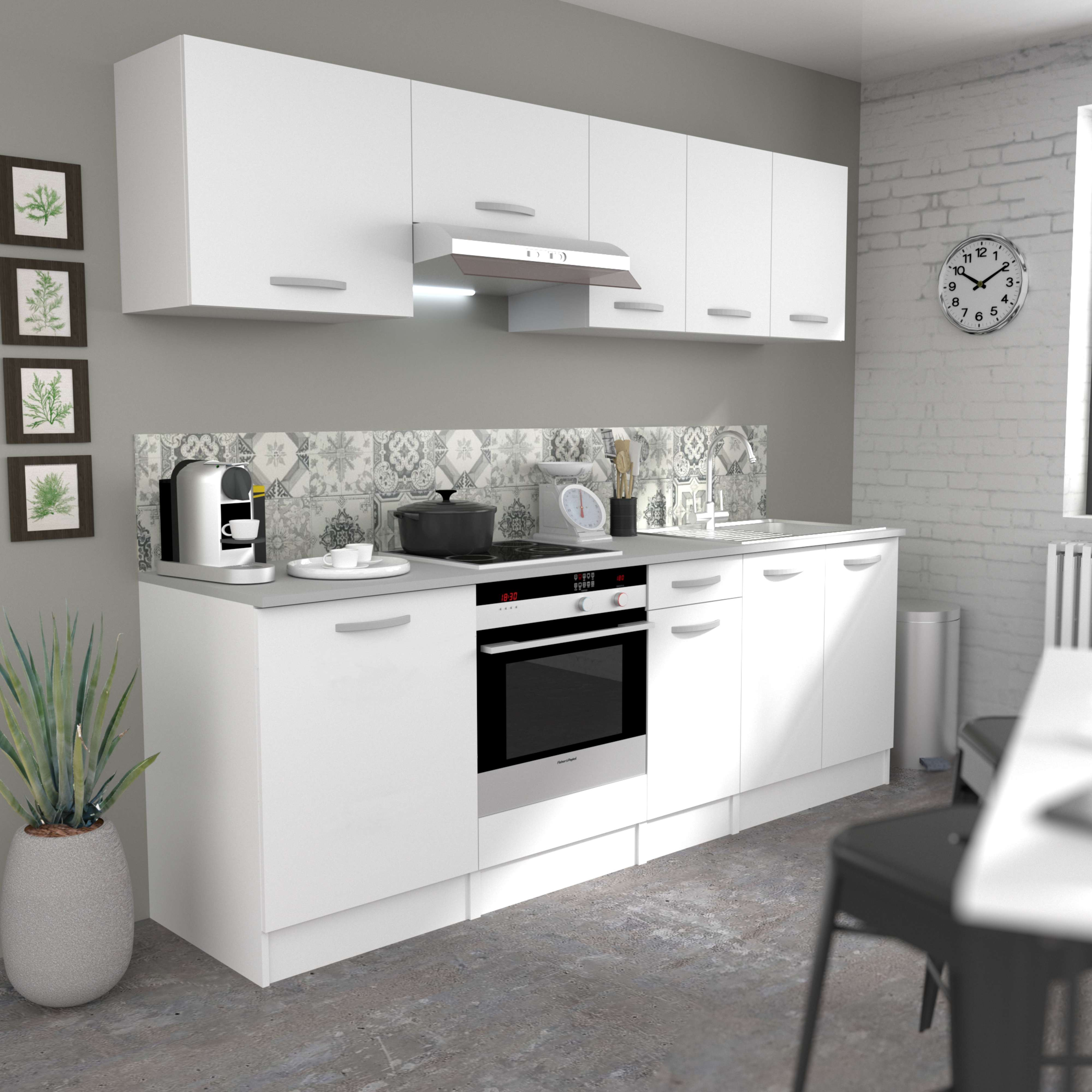 Moderna cocina blanca con electrodomésticos, cafetera y planta.