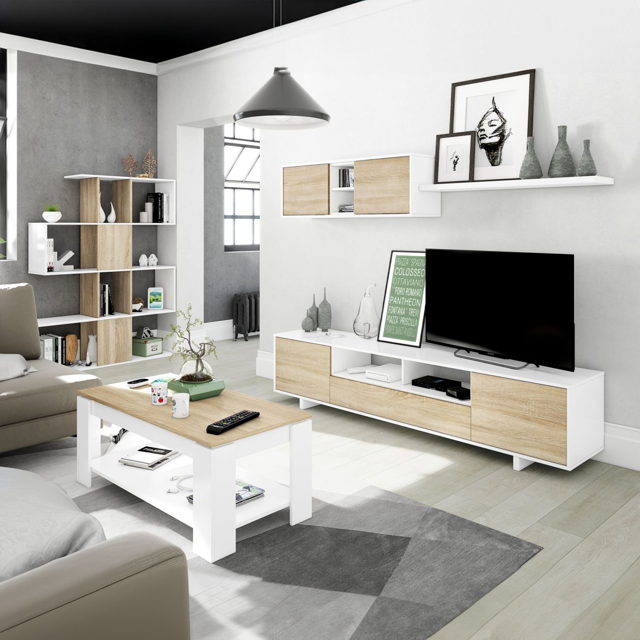 Sala de estar moderna con sofá, mesa de centro, mueble de TV, estante y arte.