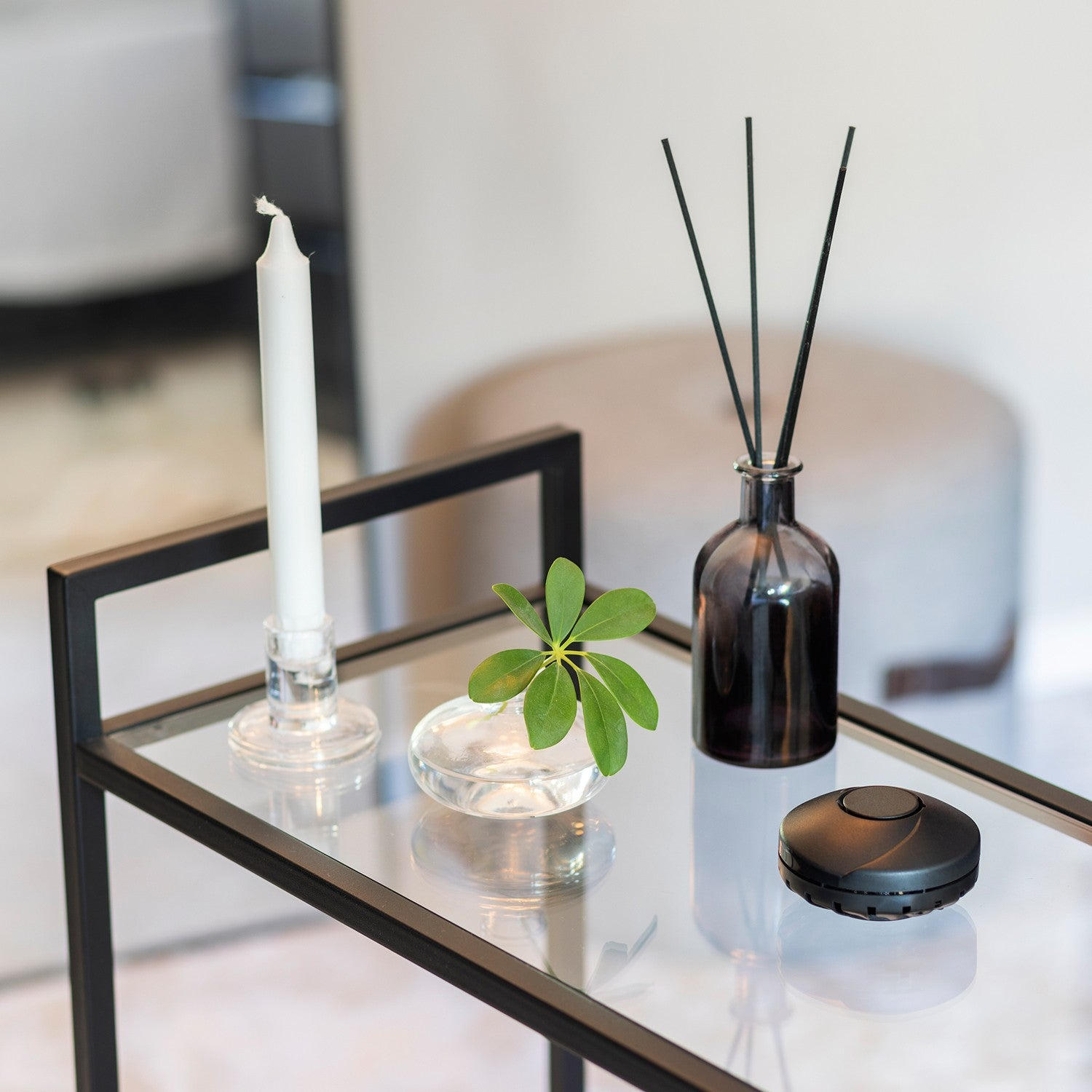 A white candle, a plant in glass, and a diffuser on a table.