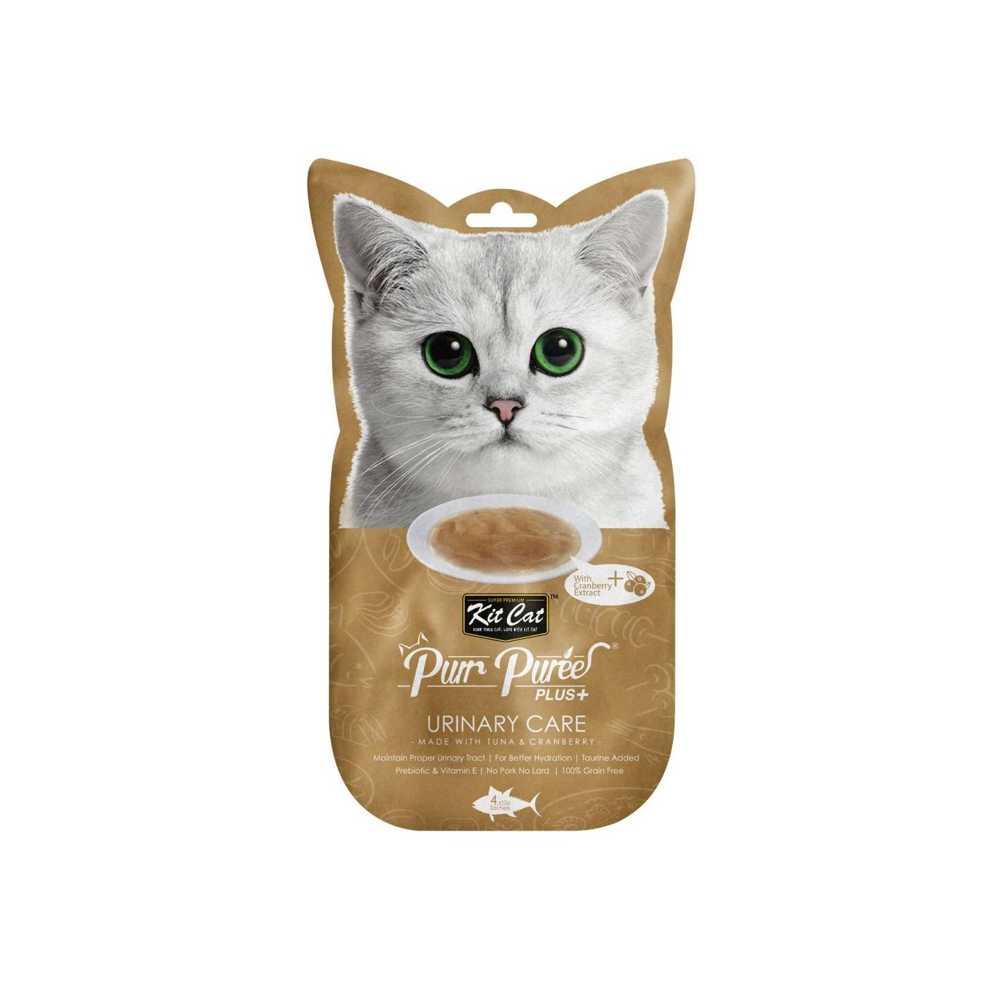 Un gato mira un paquete de comida para gatos para vías urinarias.