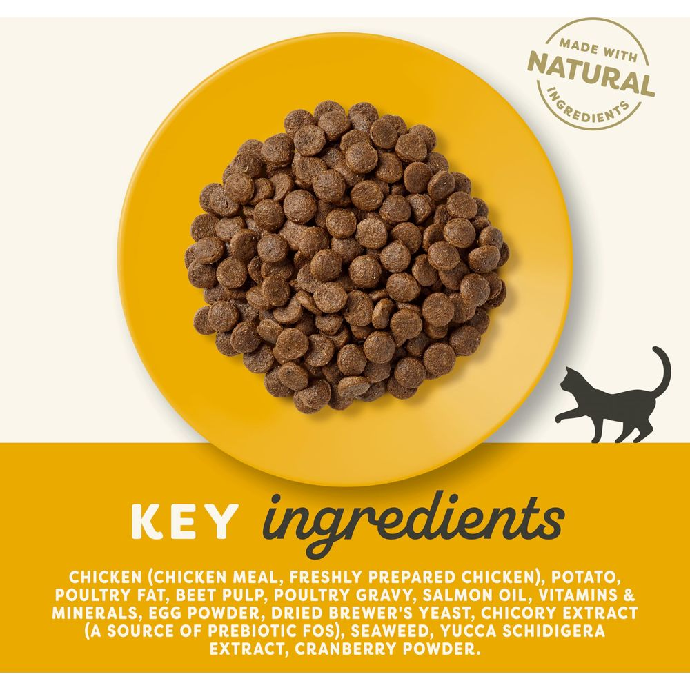Pila de croquetas marrones para gatos en un plato amarillo, con texto sobre ingredientes naturales.