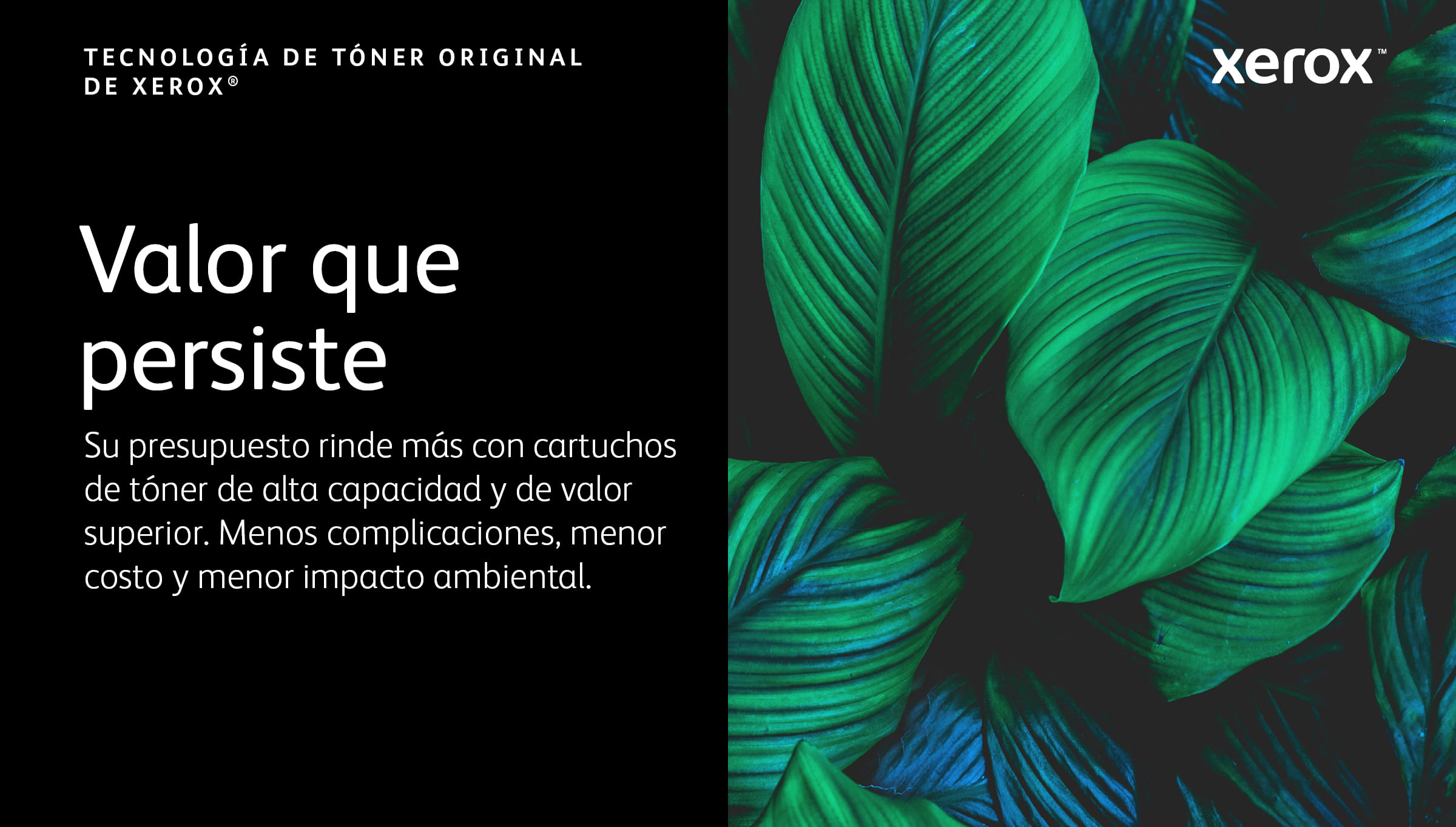 Zielone liście z tekstem i logo Xerox w tle.