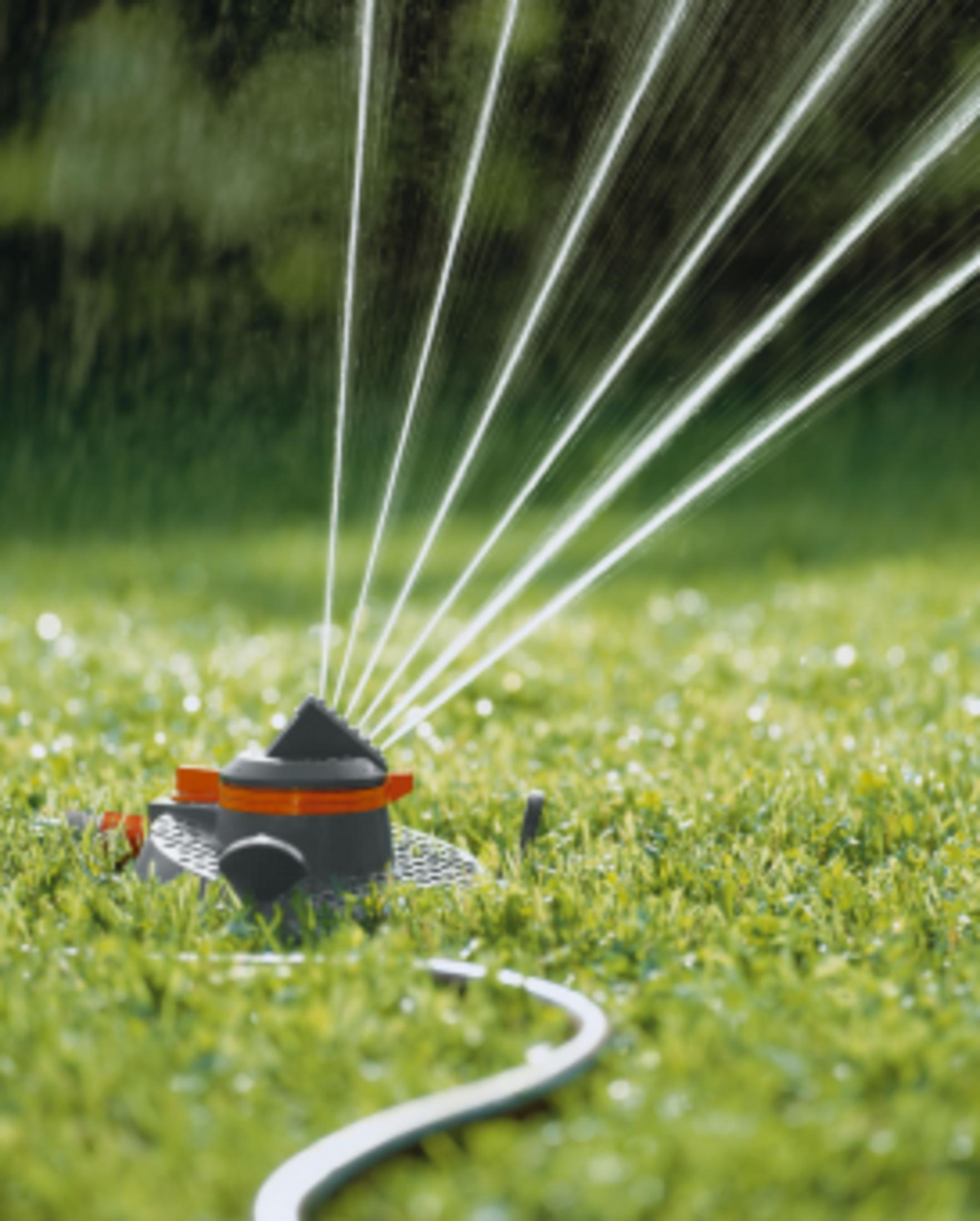 Ein Sprinkler bewässert einen grünen Rasen mit feinen Wasserstrahlen.